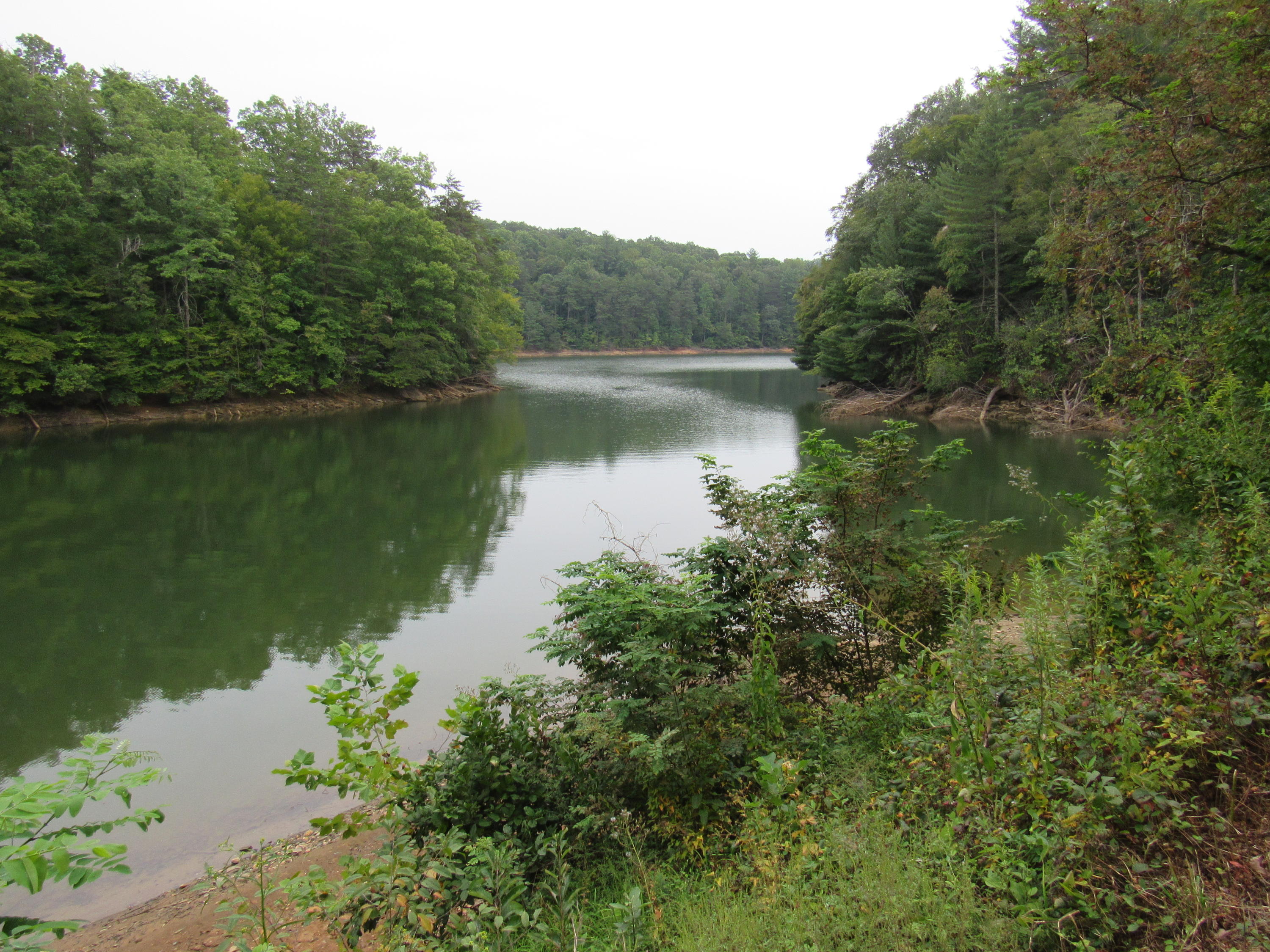 2700 Johnny's Ridge Road Ferrum, VA 24088 - Photo 29 of 32 a view of a lake in middle of forest
