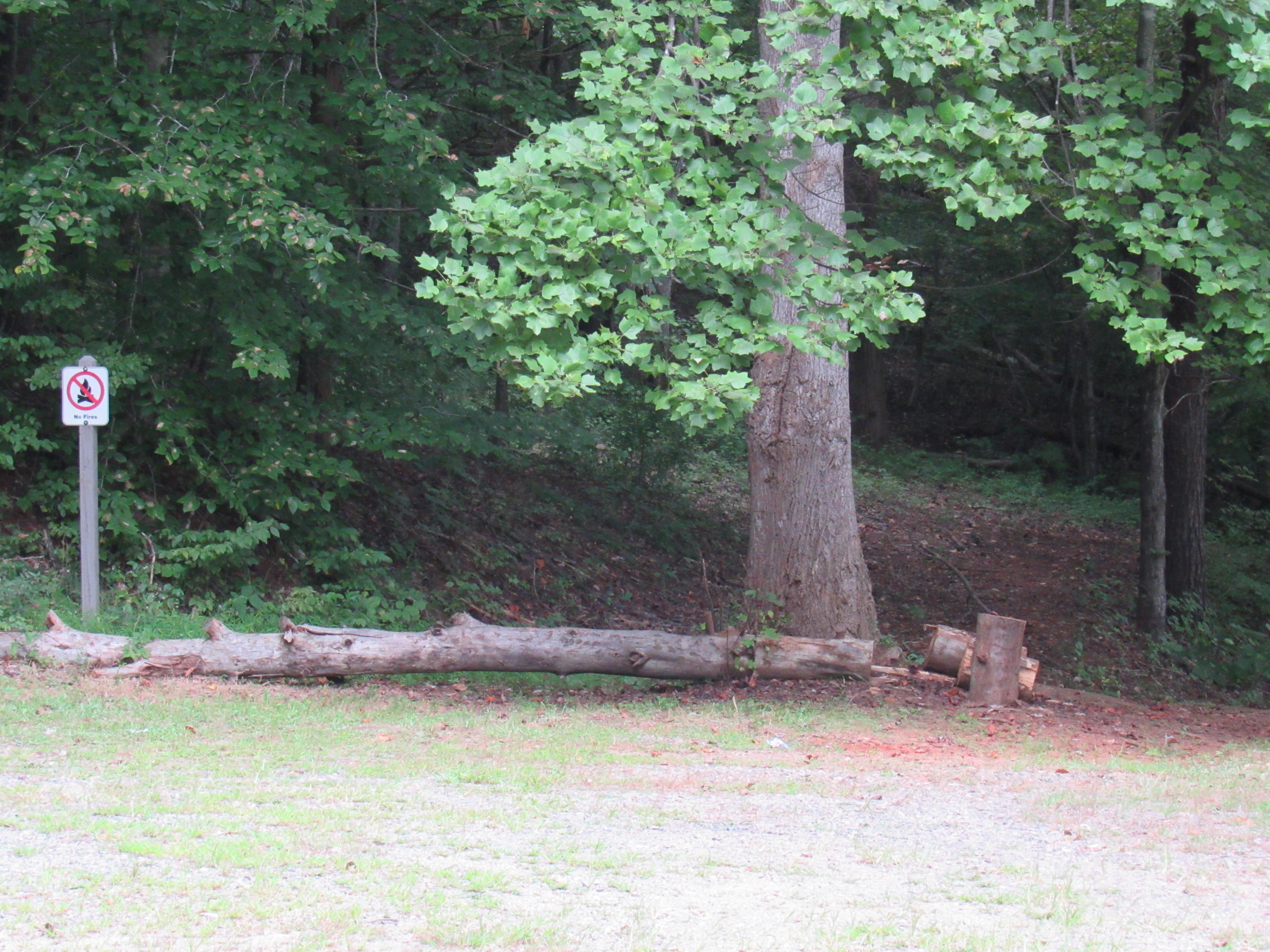 2700 Johnny's Ridge Road Ferrum, VA 24088 - Photo 30 of 32