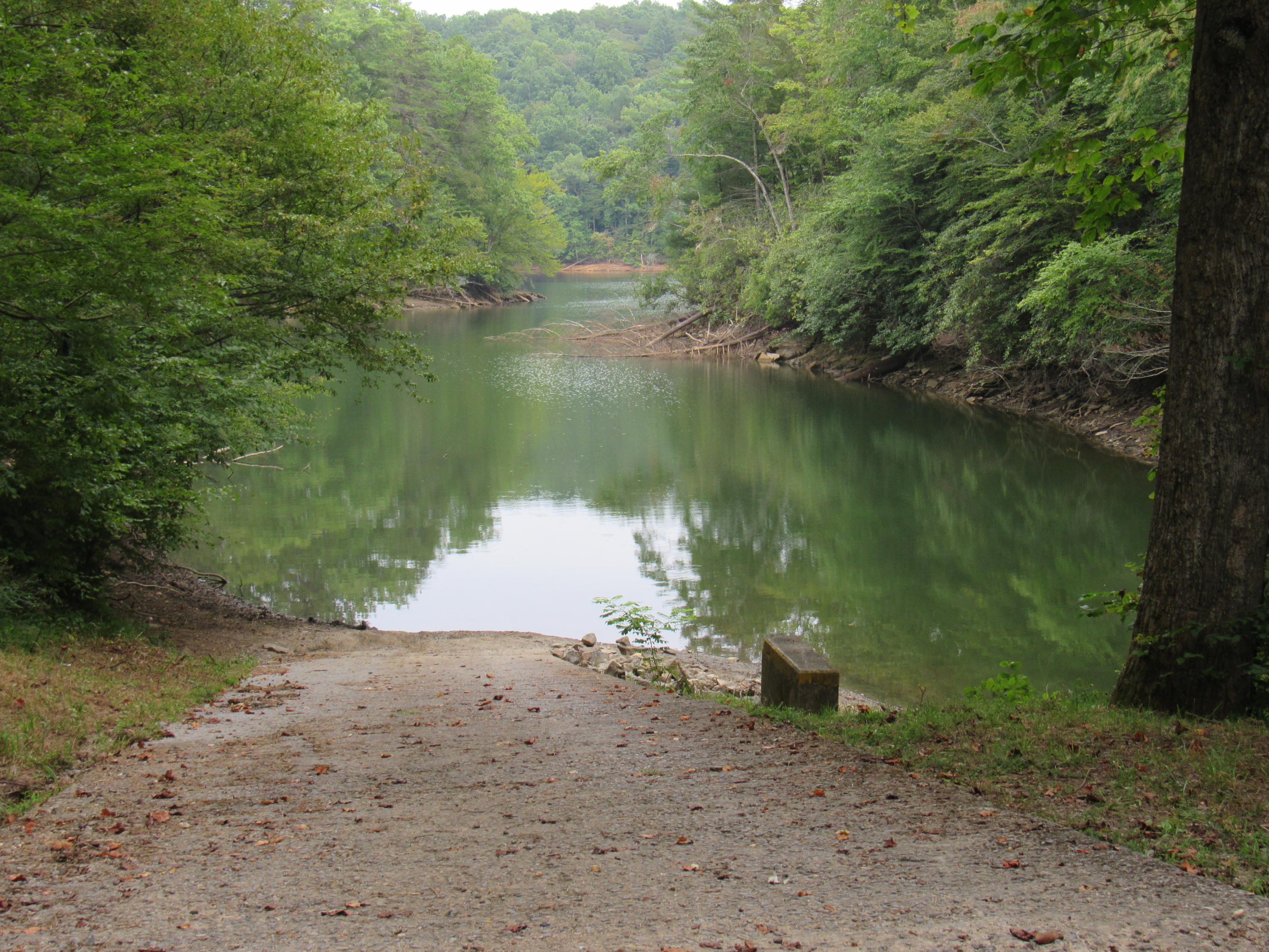2700 Johnny's Ridge Road Ferrum, VA 24088 - Photo 31 of 32 a view of a lake with a yard and a large tree