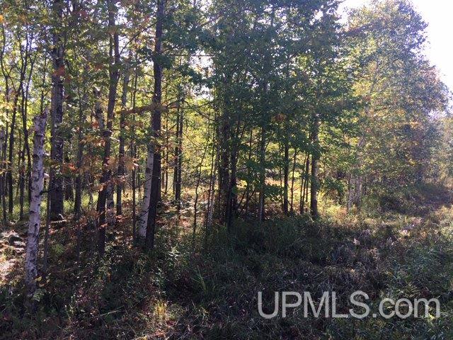 122 Rd Saxon V-wi Wi 54559 Road, Unit 10 ACS Ashland, WI 54806 - Photo 6 of 11