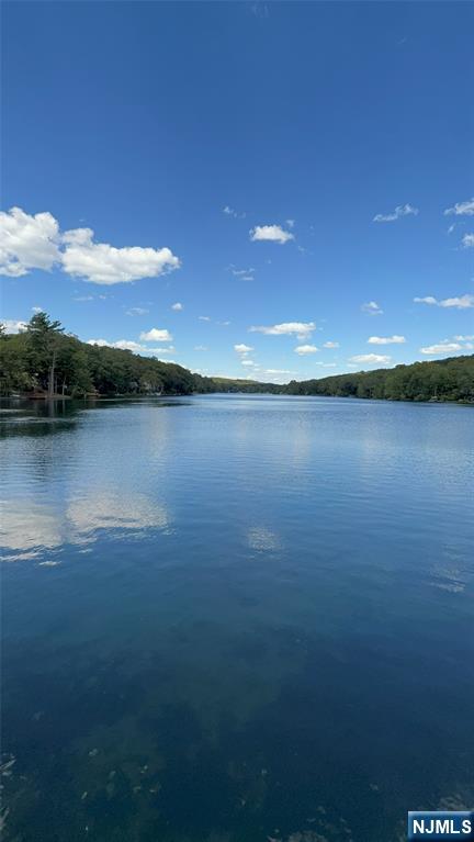 78 Woodland Road Ringwood, NJ 07456 - Photo 29 of 33 a view of lake