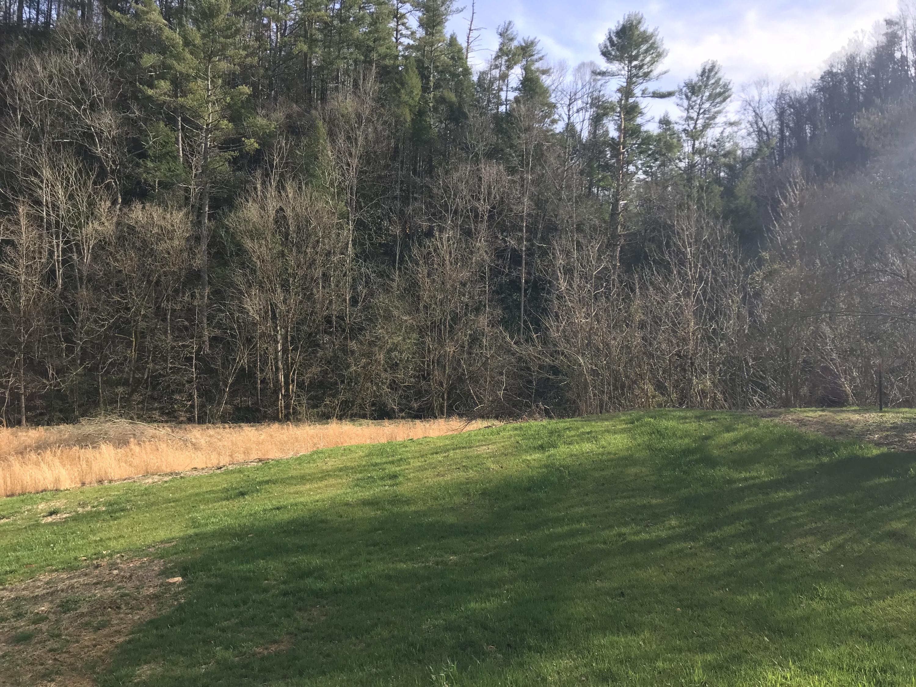 1530 Upper Middle Creek Road Sevierville, TN 37876 - Photo 21 of 23 1FFF3340-423C-4355-981B-463B19B7560A