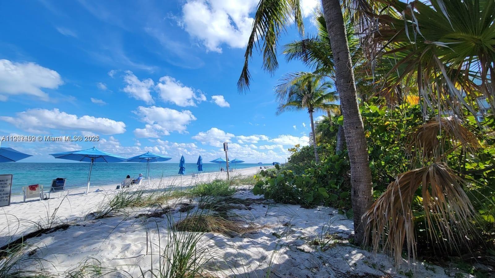 881 Ocean Drive, Unit TH10 Key Biscayne, FL 33149 - Photo 16 of 18 a view of a tree in a yard