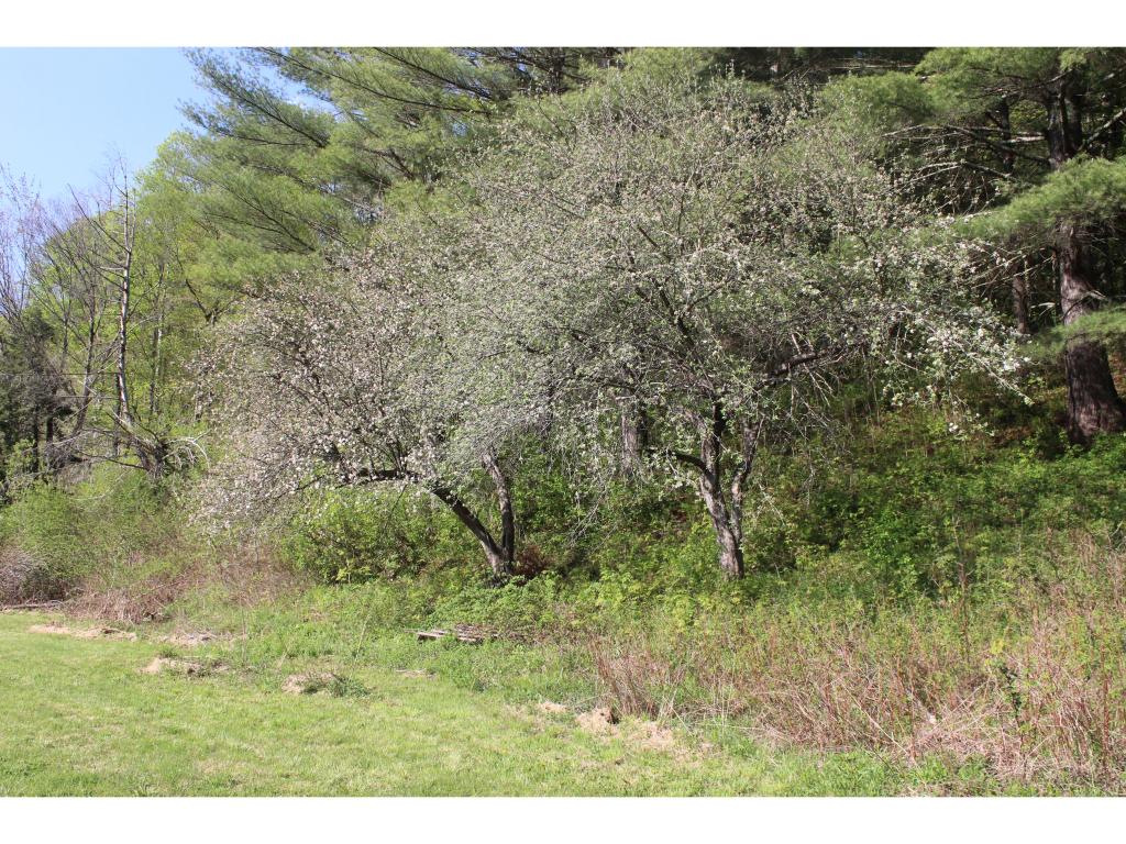 2084 Bridgewater Center Road Bridgewater, VT 05035 - Photo 13 of 27