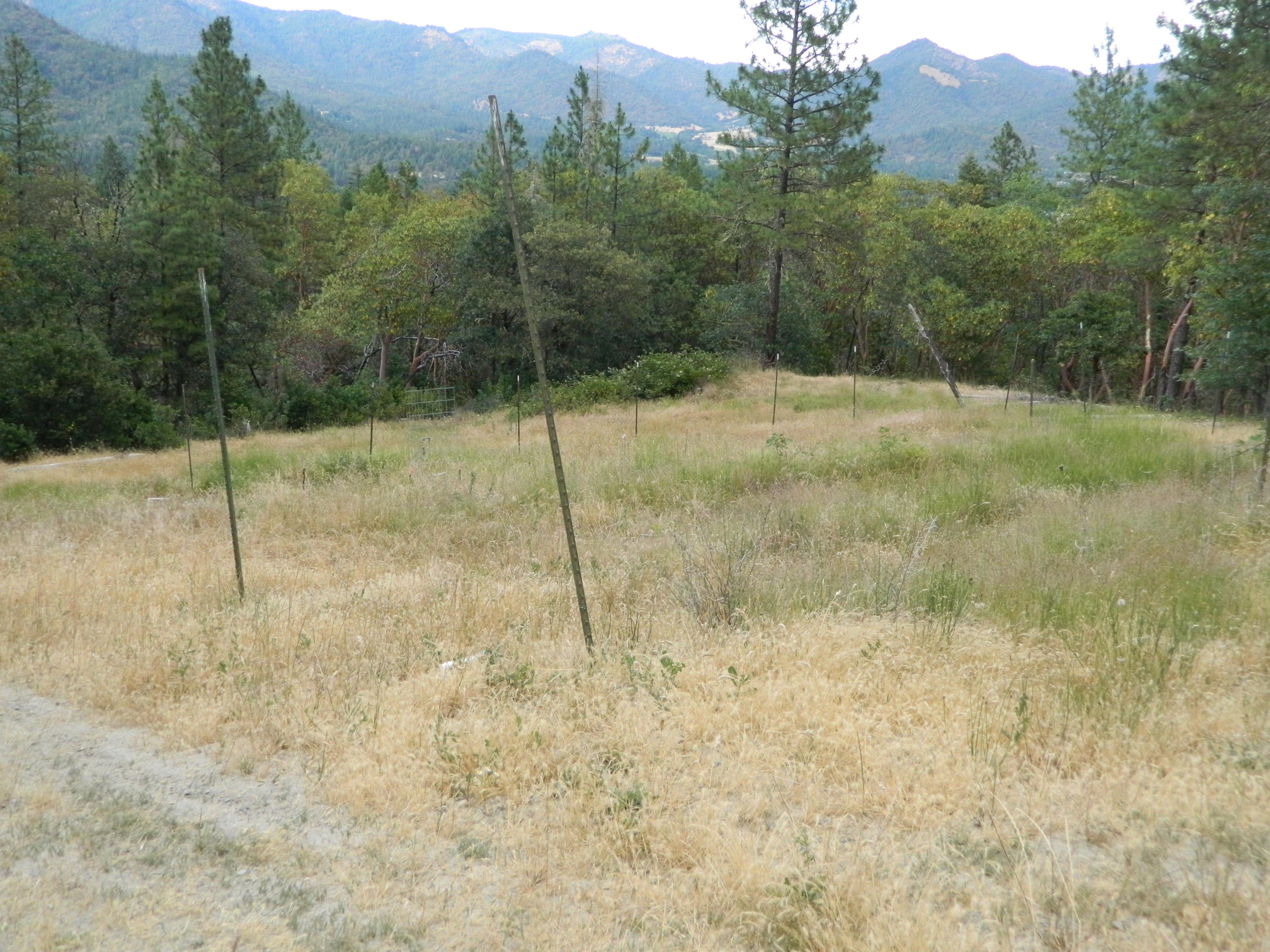 12320 Water Gap Road Williams, OR 97544 - Photo 51 of 53 Garden