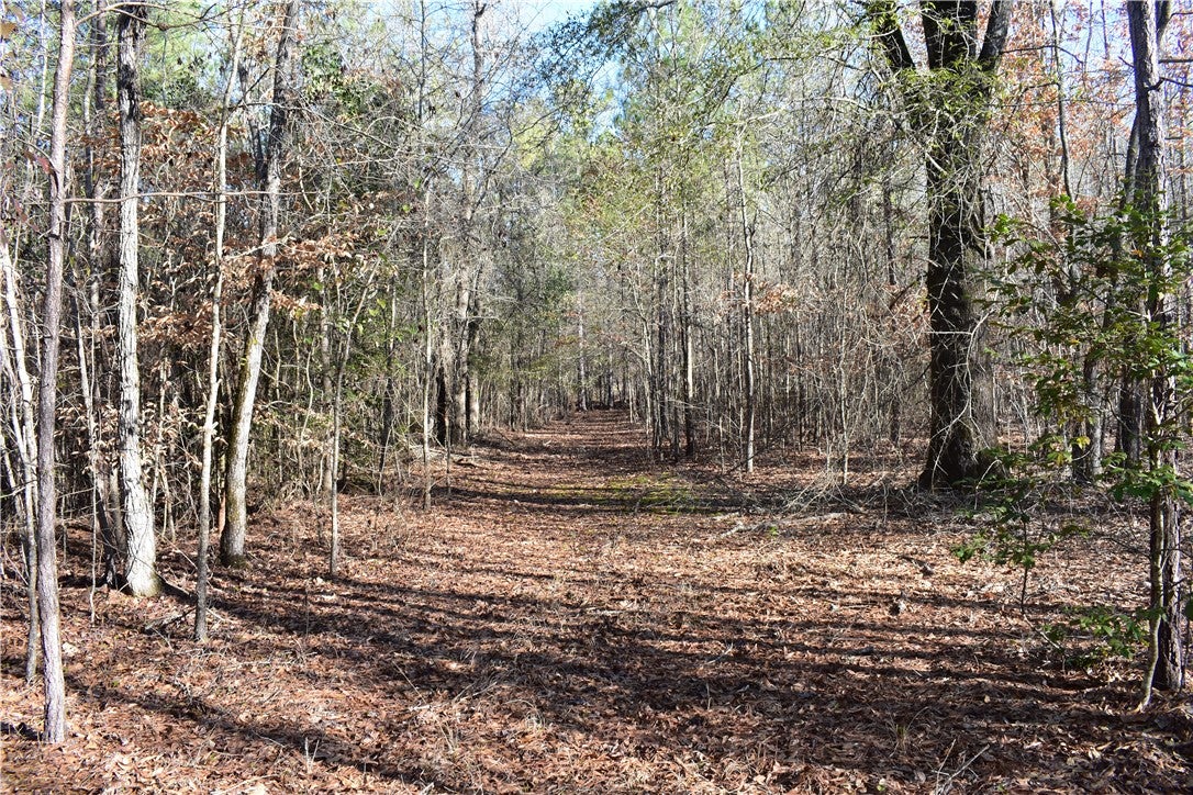 0 Double Bridge Ferry Road Eclectic, AL 36024 - Photo 3 of 11 Gallery Image 3