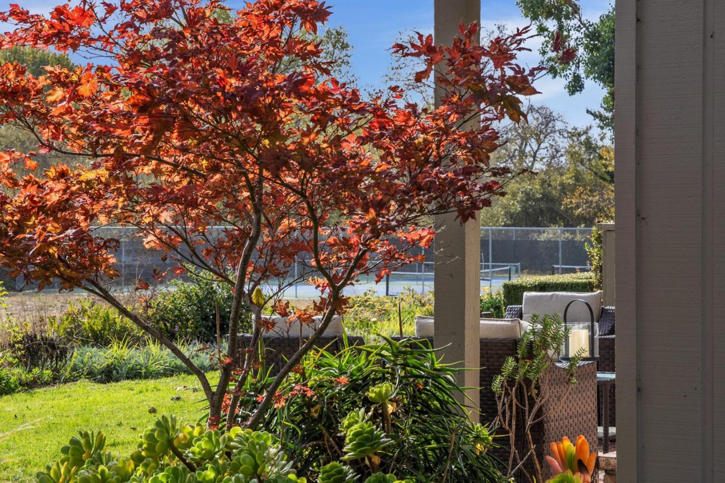 3850 Rio Road, Unit 1 Carmel, CA 93923 - Photo 38 of 46 a view of a yard with plants