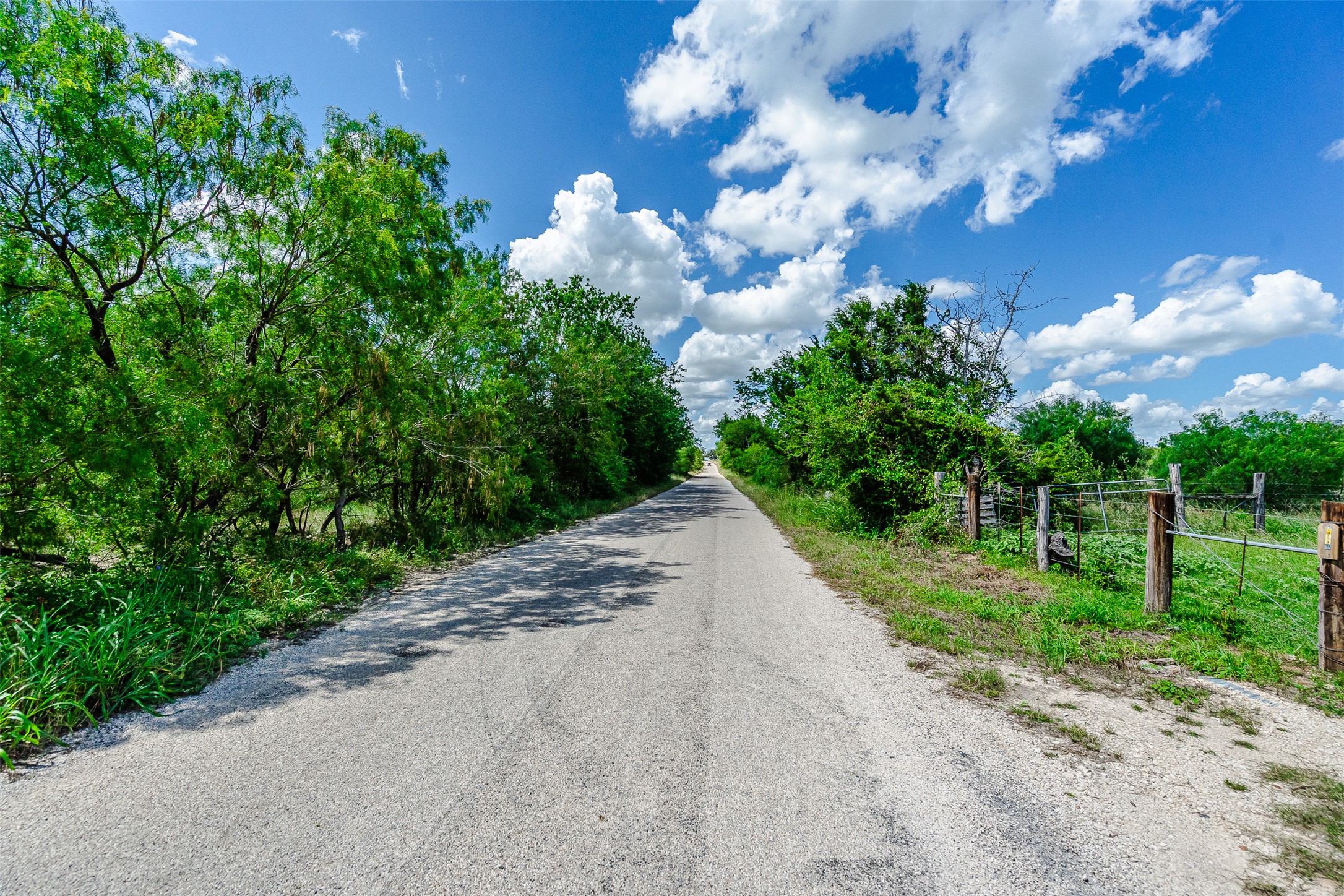 3109 Tenney Creek Road Dale, TX 78616 - Photo 19 of 23 A tranquil country road stretches ahead, bordered by lush green foliage and a rustic fence under a vast, bright sky.