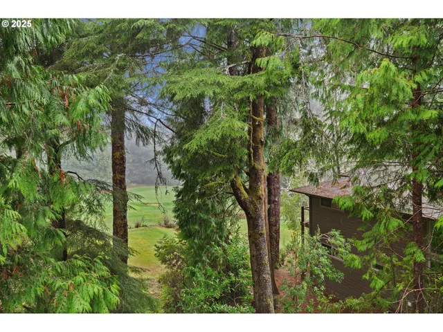 a view of outdoor space and yard