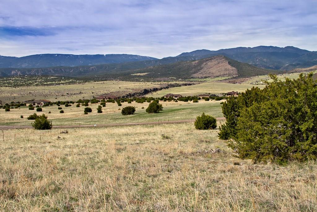 Tbd Garrett Road Beulah, CO 81023 - Photo 8 of 42 Gallery Image 8