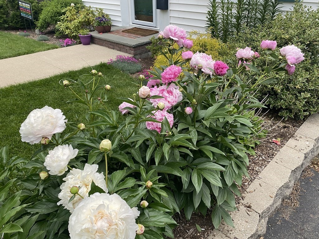 7 Florence Road Waltham, MA 02453 - Photo 30 of 32