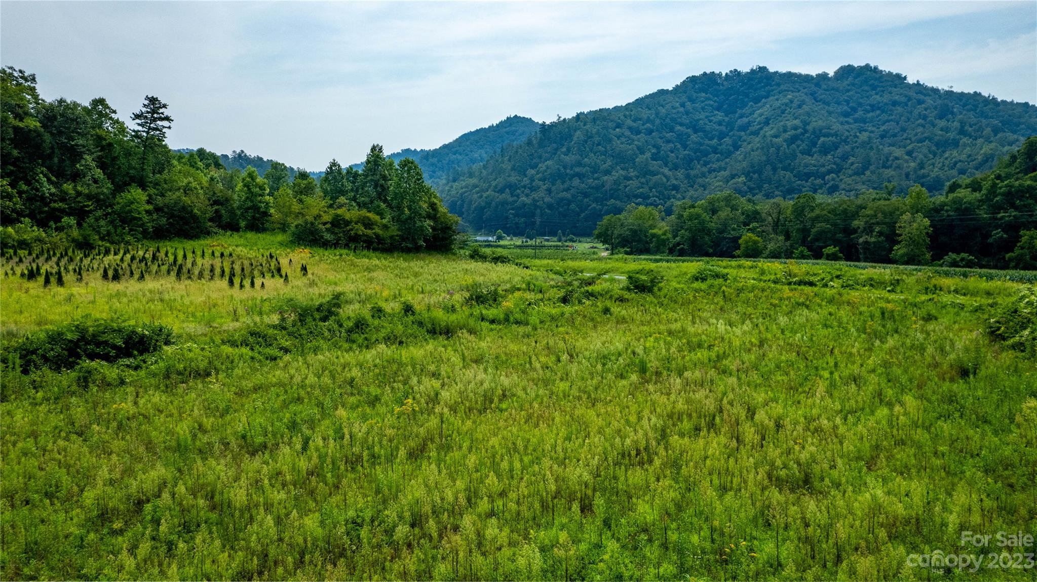Tbd Tbd Collettsville Road, Unit 15 Lenoir, NC 28645 - Photo 11 of 20 a view of a back yard