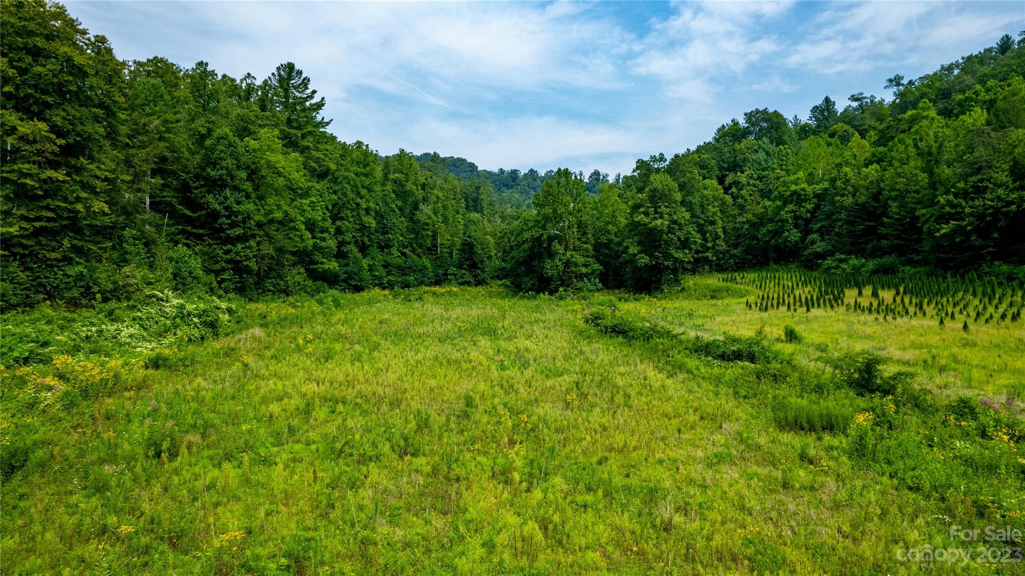 Tbd Tbd Collettsville Road, Unit 15 Lenoir, NC 28645 - Photo 12 of 20 a view of an outdoor space and a yard
