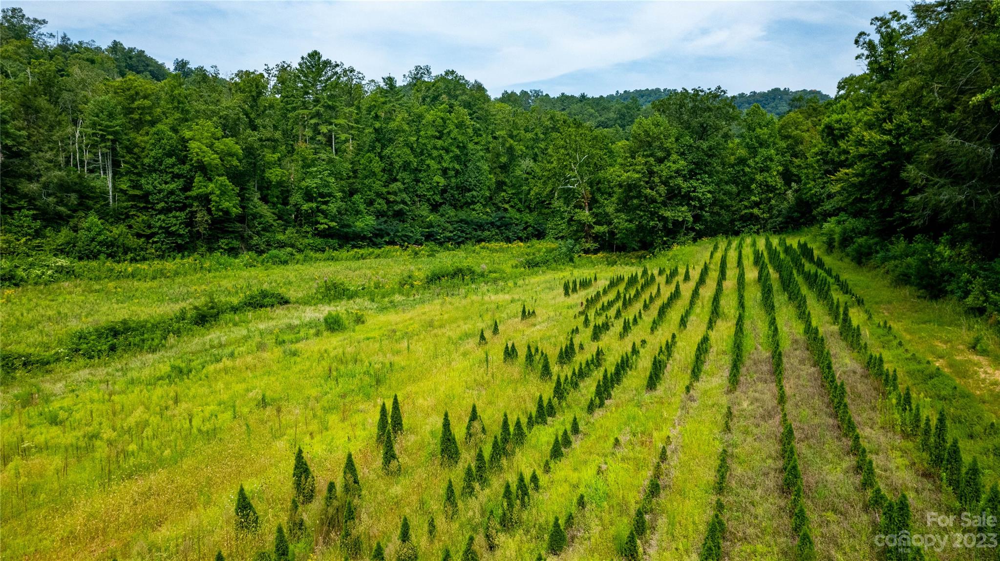Tbd Tbd Collettsville Road, Unit 15 Lenoir, NC 28645 - Photo 14 of 20 a view of yard