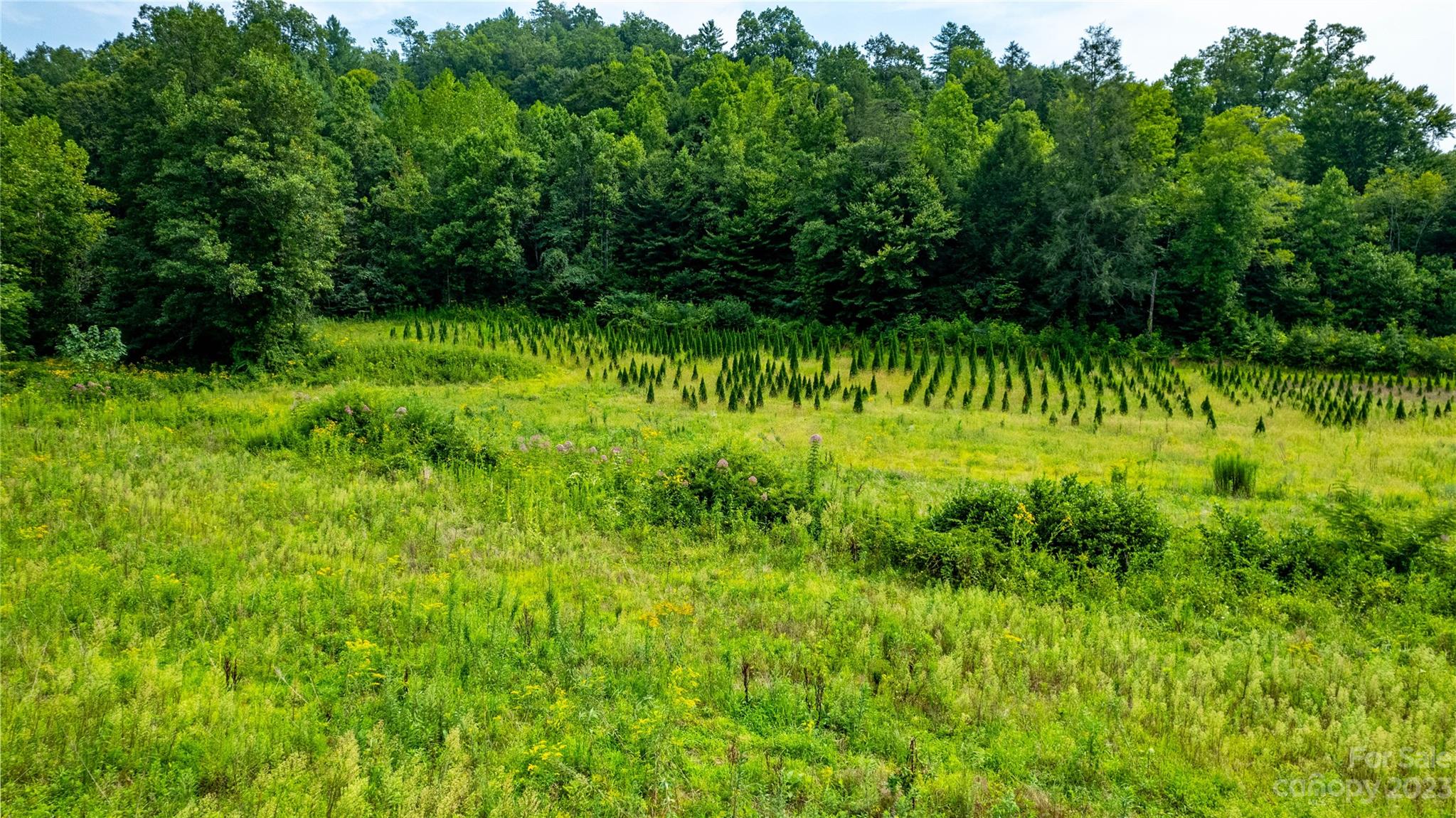 Tbd Tbd Collettsville Road, Unit 15 Lenoir, NC 28645 - Photo 15 of 20 a view of a garden with a lake