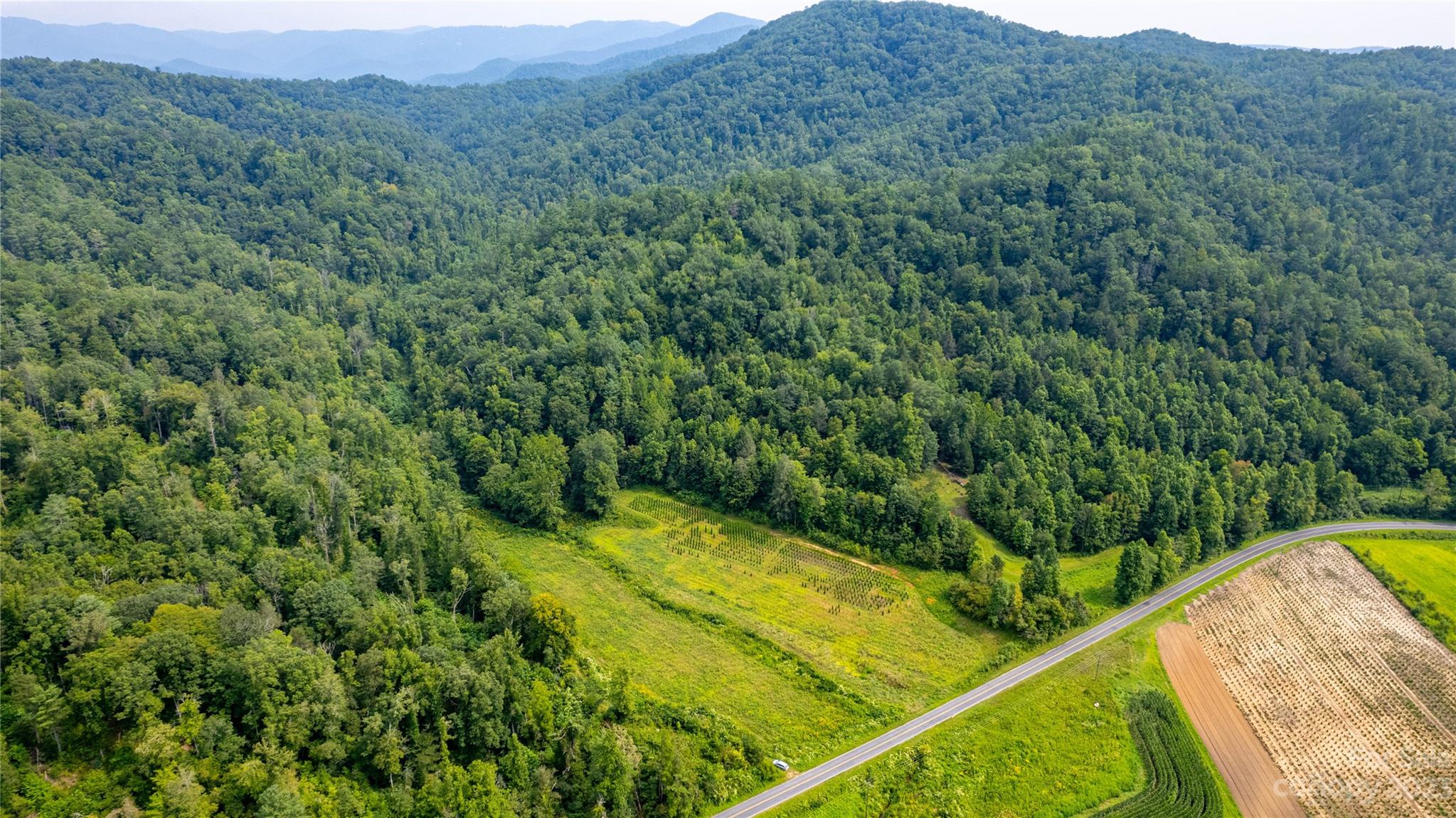 Tbd Tbd Collettsville Road, Unit 15 Lenoir, NC 28645 - Photo 5 of 20 a view of a lush green forest with a sink