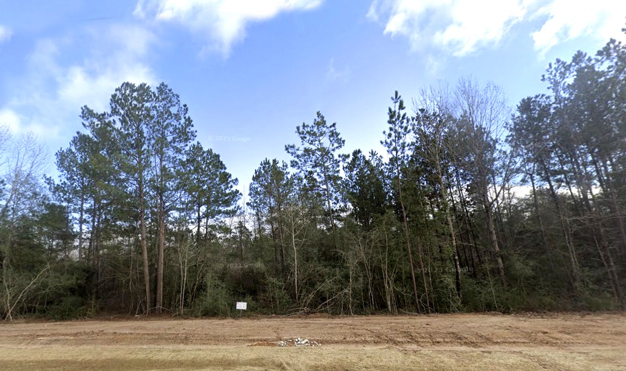 15820 Ridge Rock Road Willis, TX 77378 - Photo 4 of 15 a view of a yard