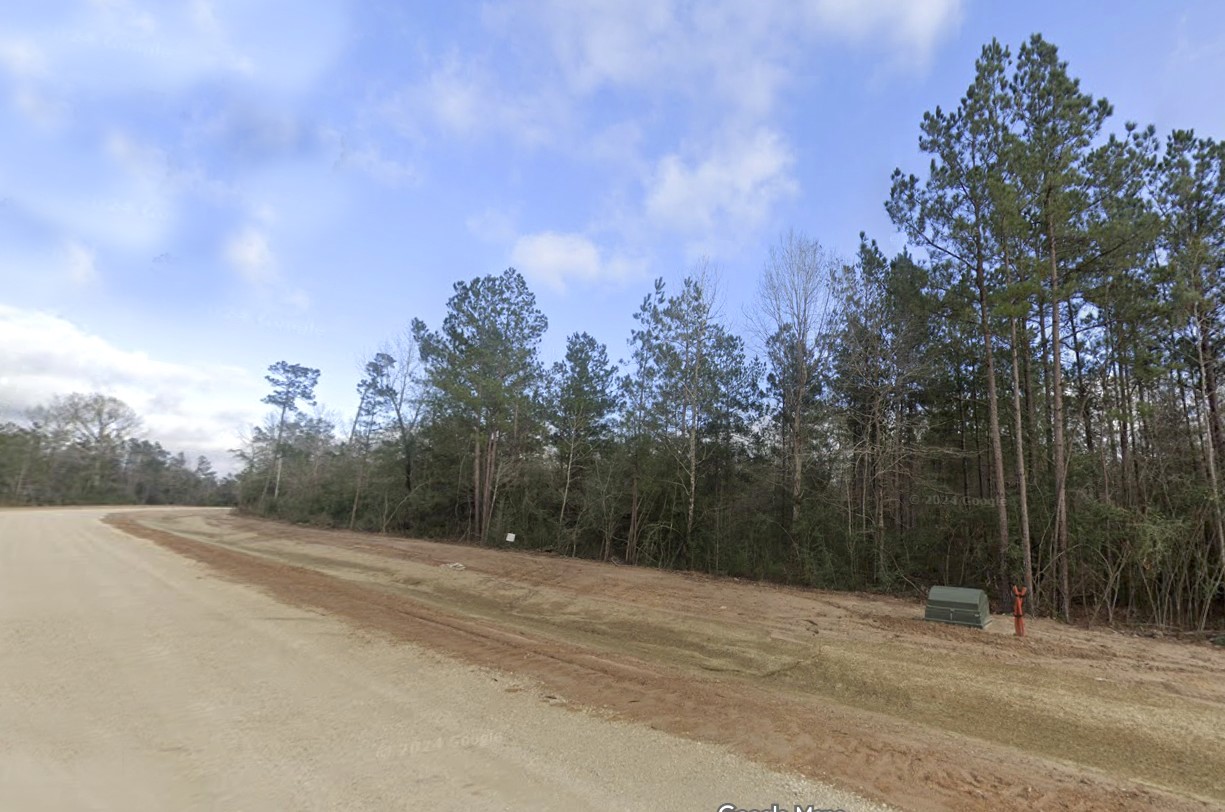 15820 Ridge Rock Road Willis, TX 77378 - Photo 5 of 15 a view of a field with trees in the background