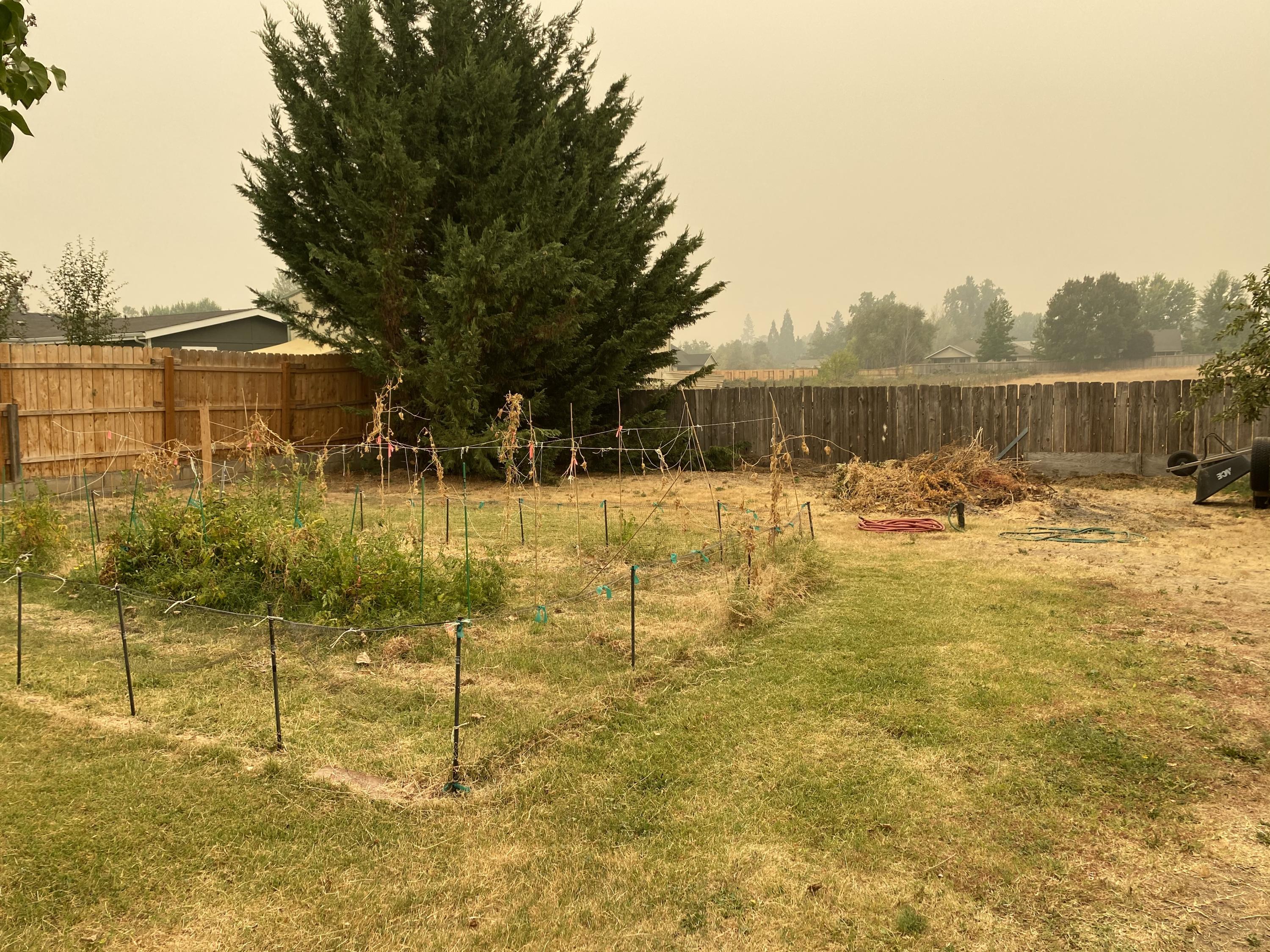 2905 Leonard Road Grants Pass, OR 97527 - Photo 14 of 18 image00015
