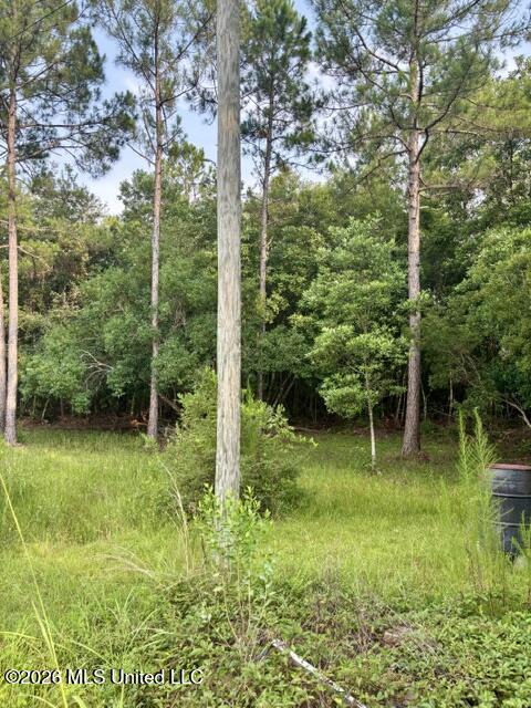 19493 North Shaw Road Saucier, MS 39574 - Photo 5 of 28 IMG_2100