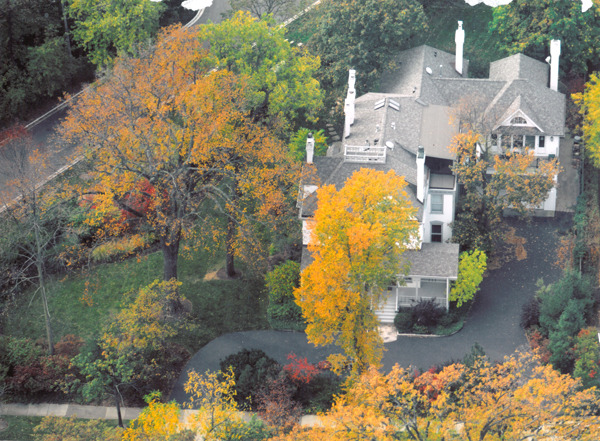 an aerial view of a house with swimming pool and large trees