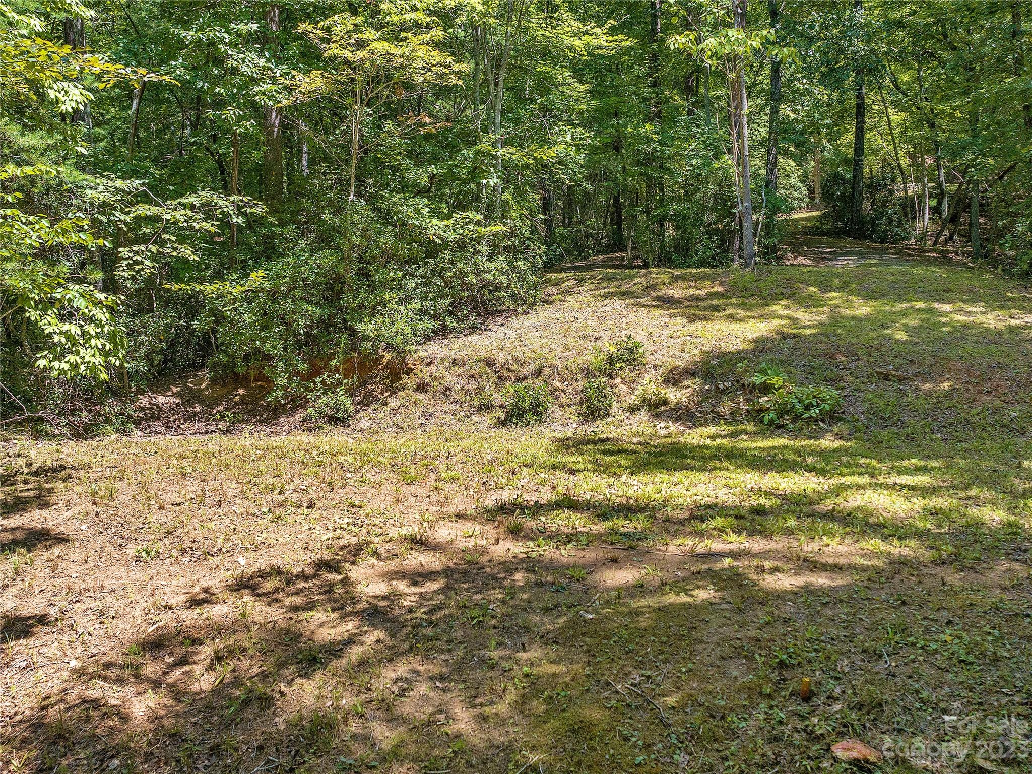Lot 17 South Cove Road Mill Spring, NC 28756 - Photo 13 of 33 a view of a yard with an trees