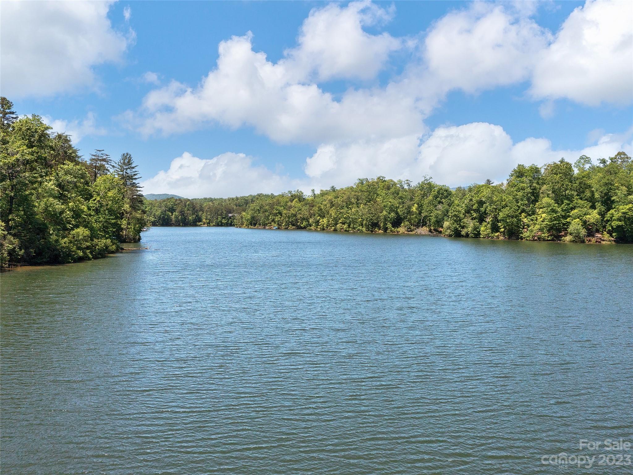 Lot 17 South Cove Road Mill Spring, NC 28756 - Photo 31 of 33 a view of a lake from a yard