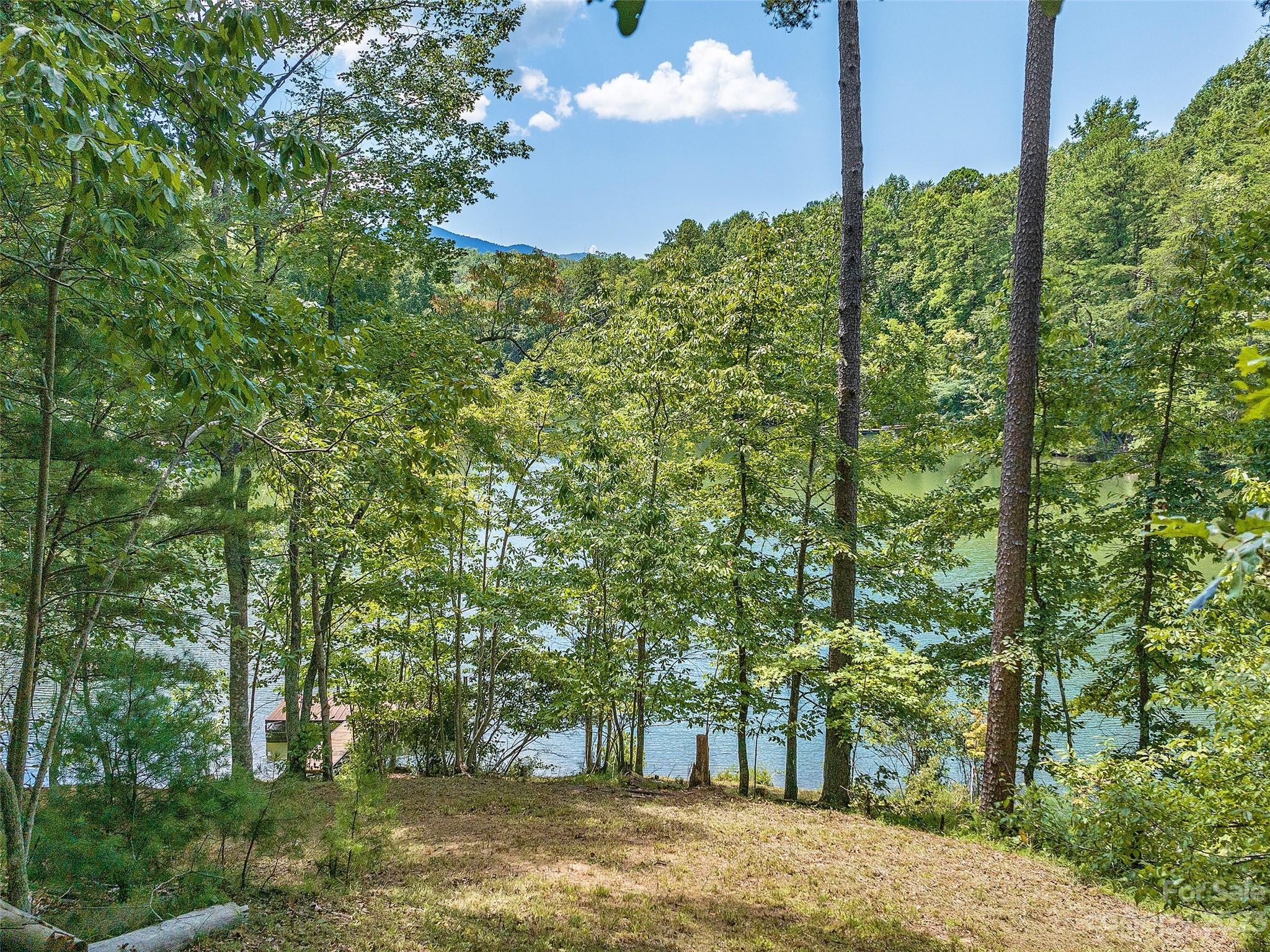 Lot 17 South Cove Road Mill Spring, NC 28756 - Photo 7 of 33 a view of a tree with a yard