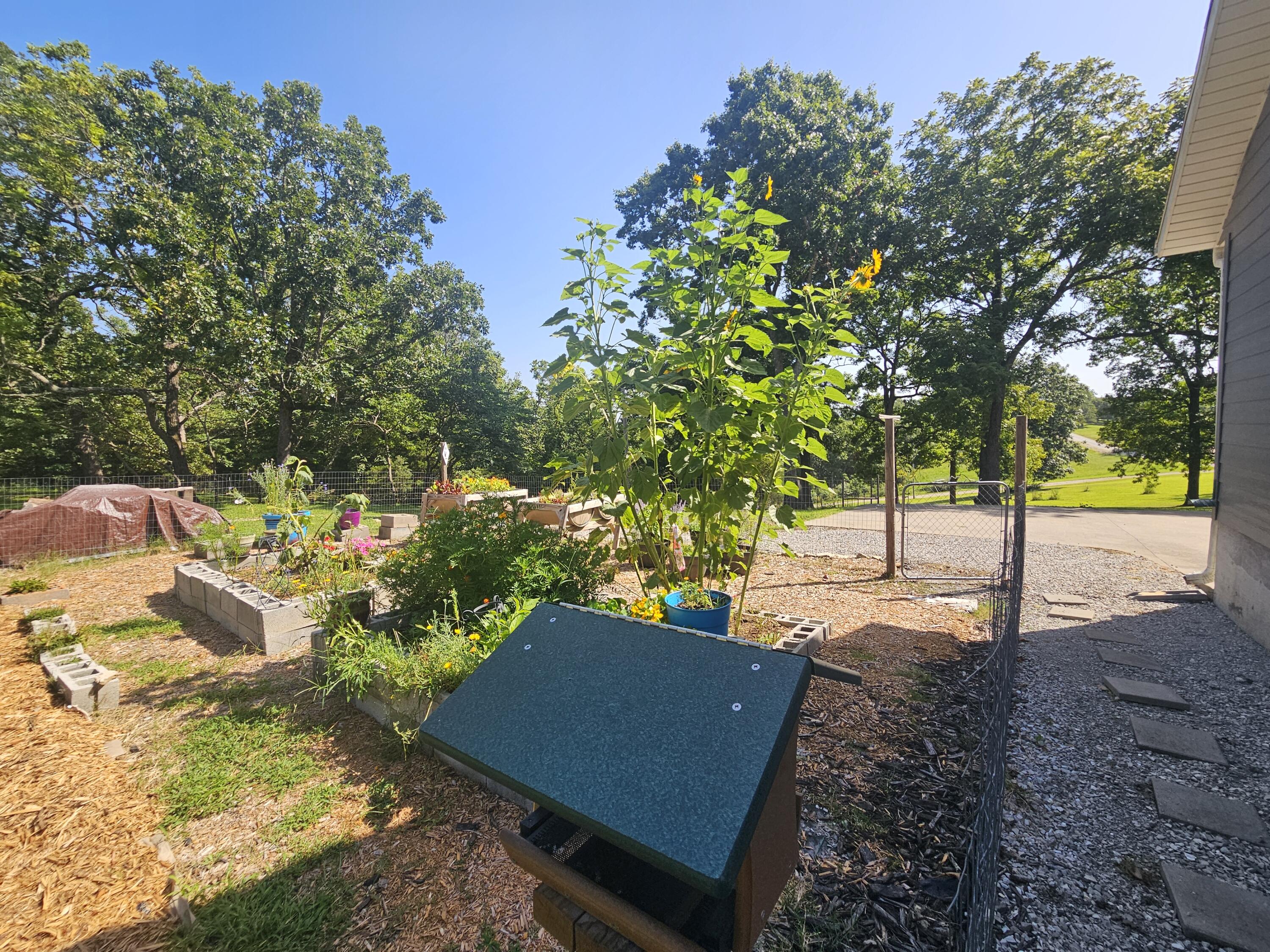 8441 County Road East Ava, MO 65608 - Photo 46 of 54 20260720_100631