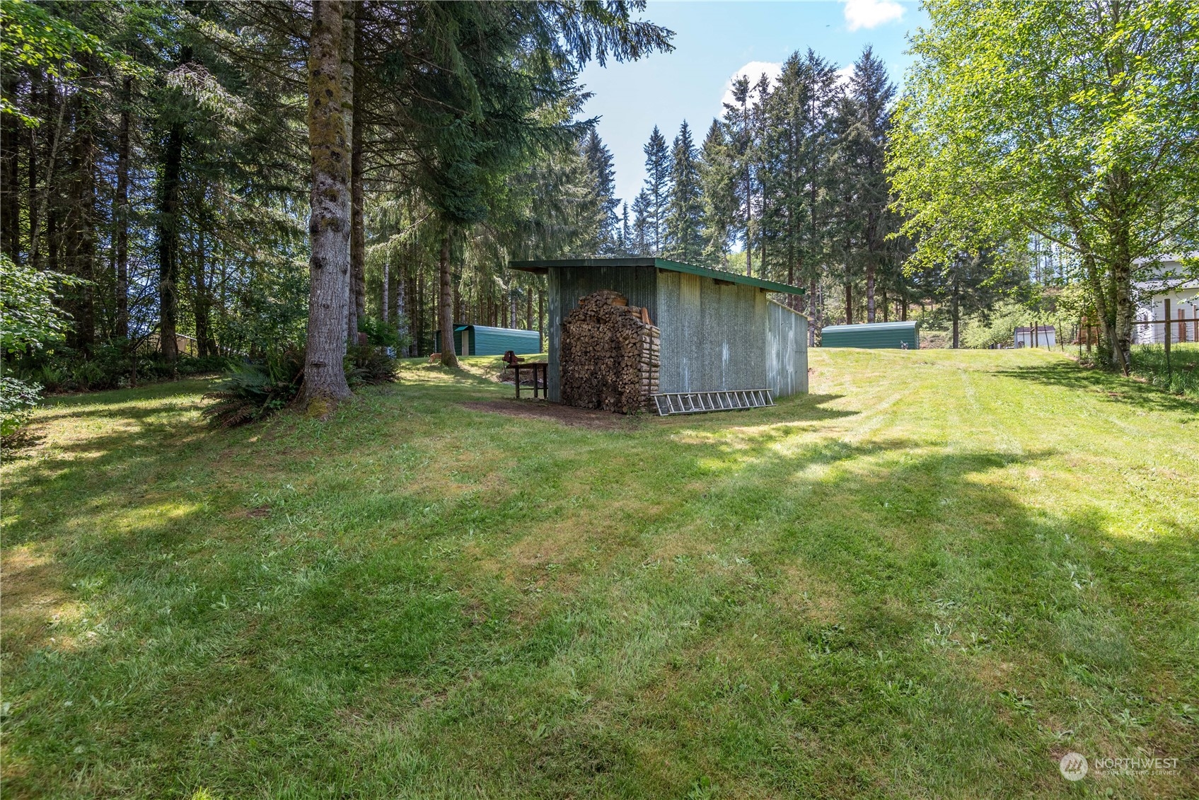 296 Cedar Hills Road Longview, WA 98632 - Photo 24 of 27 a view of a wooden house with a big yard and large trees