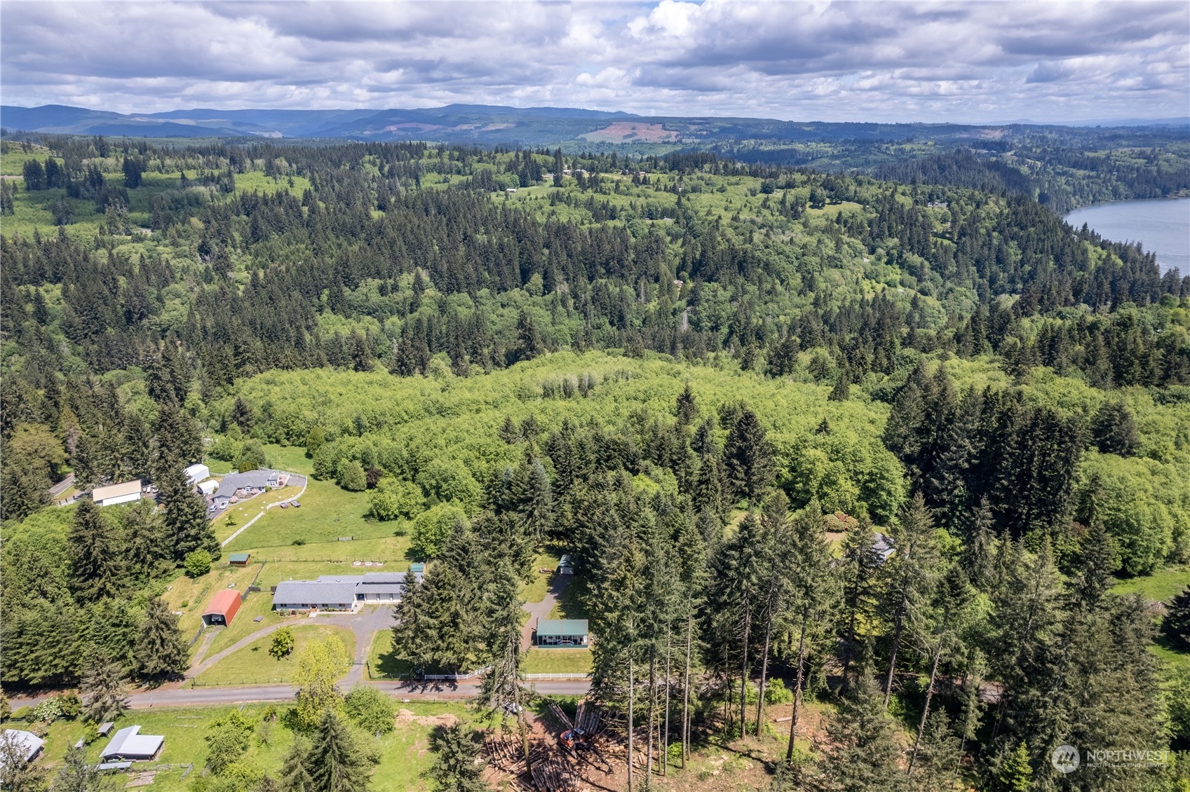 296 Cedar Hills Road Longview, WA 98632 - Photo 5 of 27 a view of a city with lush green forest