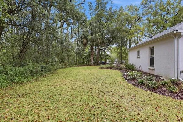 a view of a backyard with plants and large trees