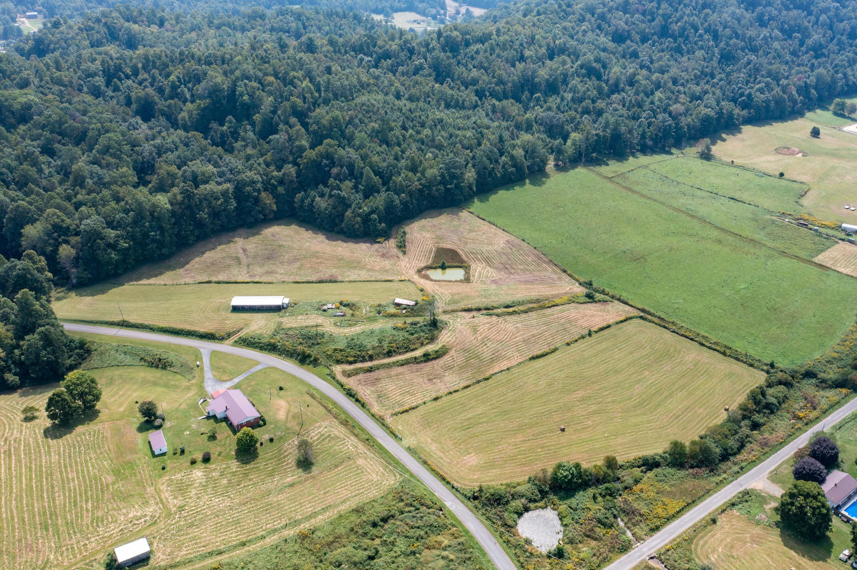 3793 Pine Orchard Road Butler, TN 37640 - Photo 8 of 41 3783 Pine Orchard Road a1 (8 of 41)