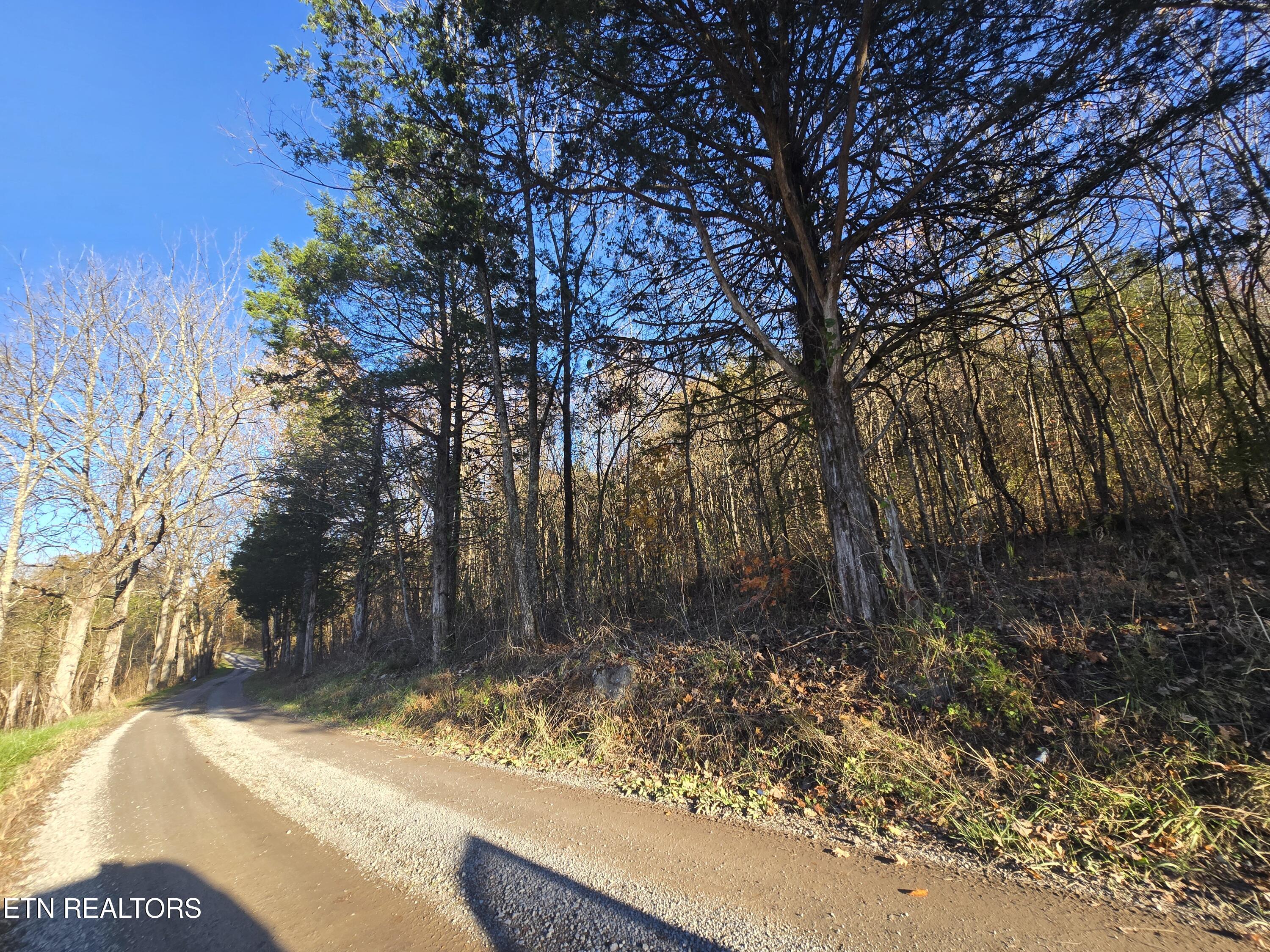 Haley Road Rose Hill, VA 24281 - Photo 11 of 26 20251103_161659