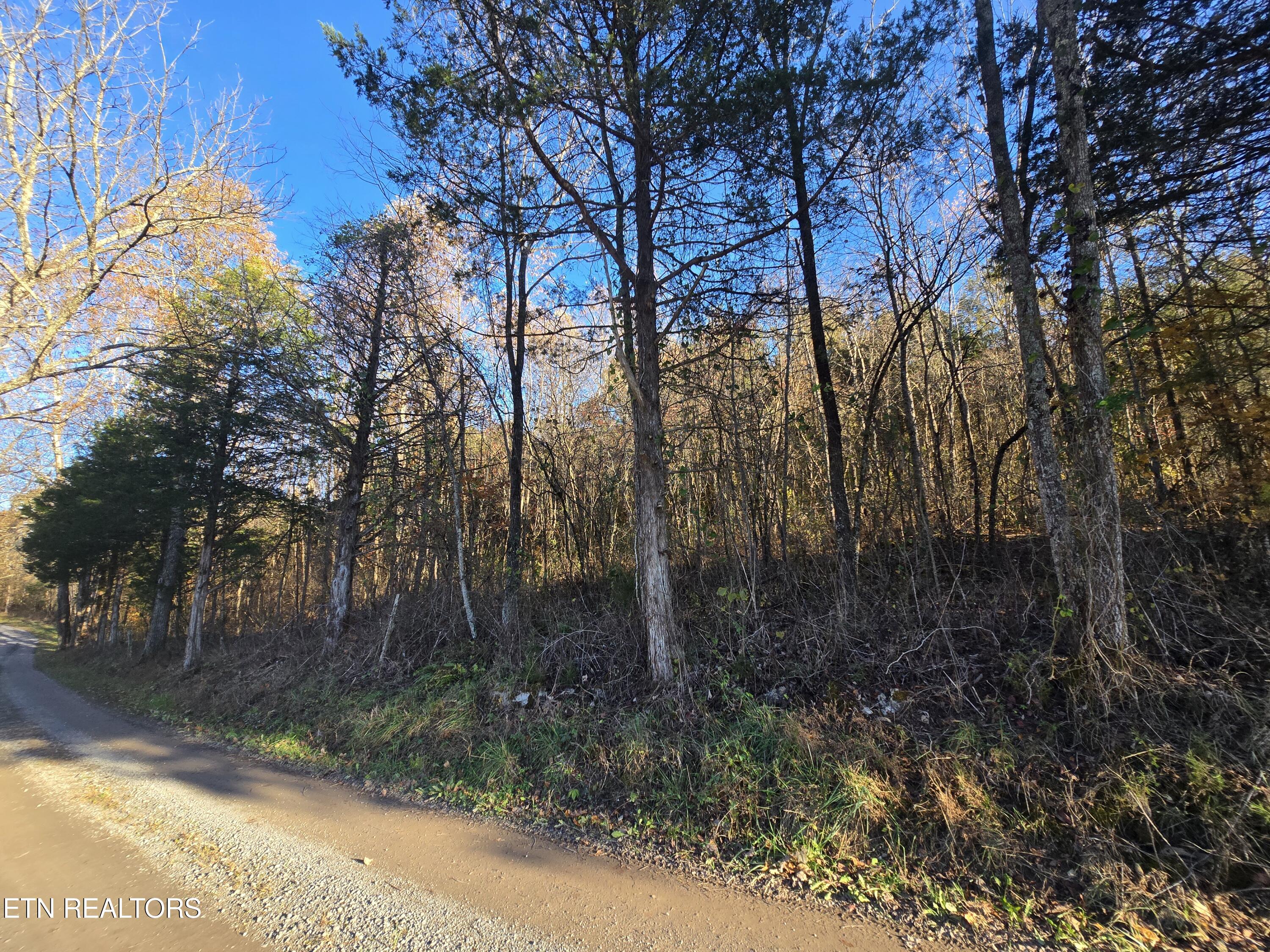 Haley Road Rose Hill, VA 24281 - Photo 12 of 26 20251103_161734