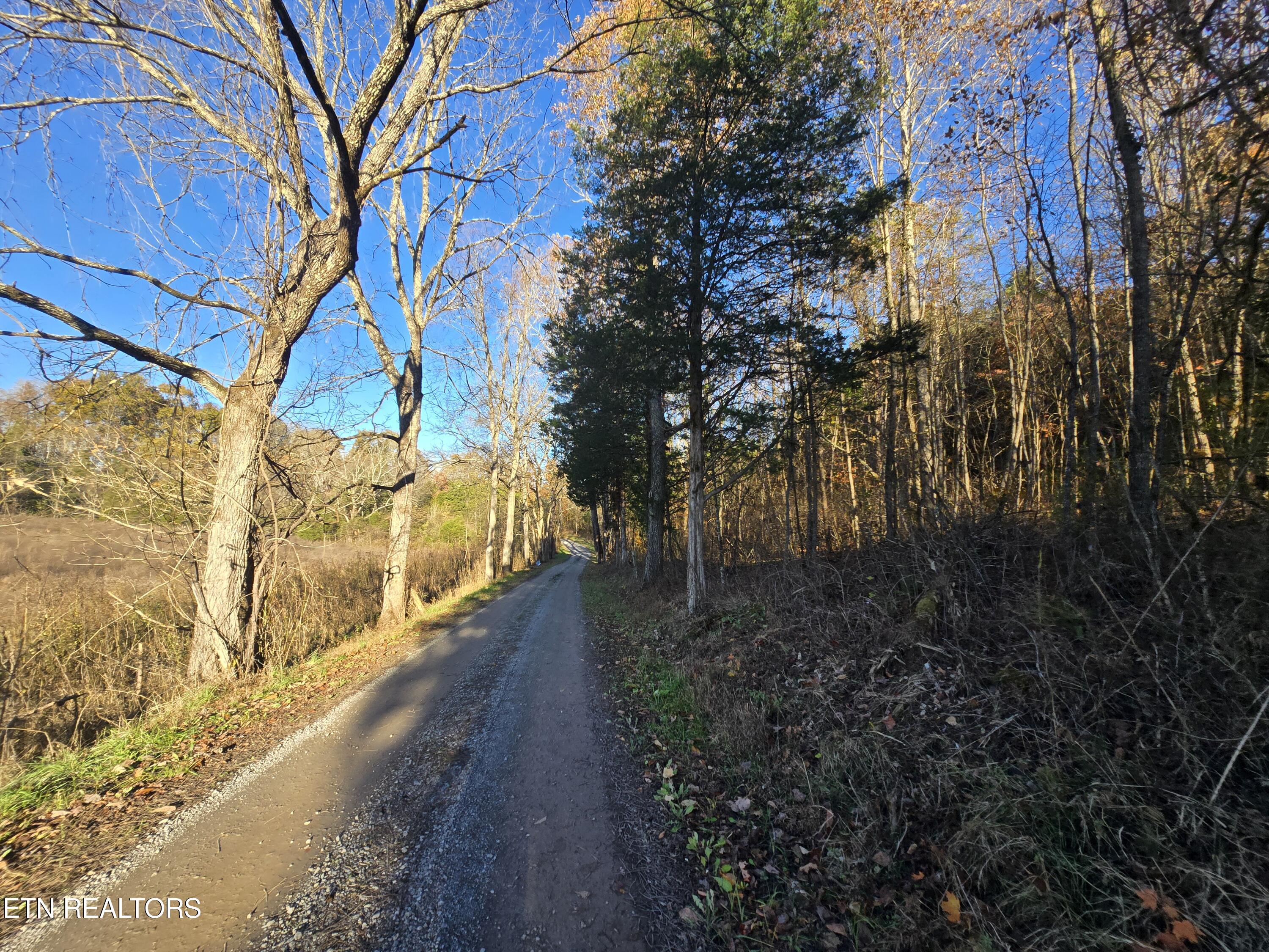 Haley Road Rose Hill, VA 24281 - Photo 13 of 26 20251103_161757