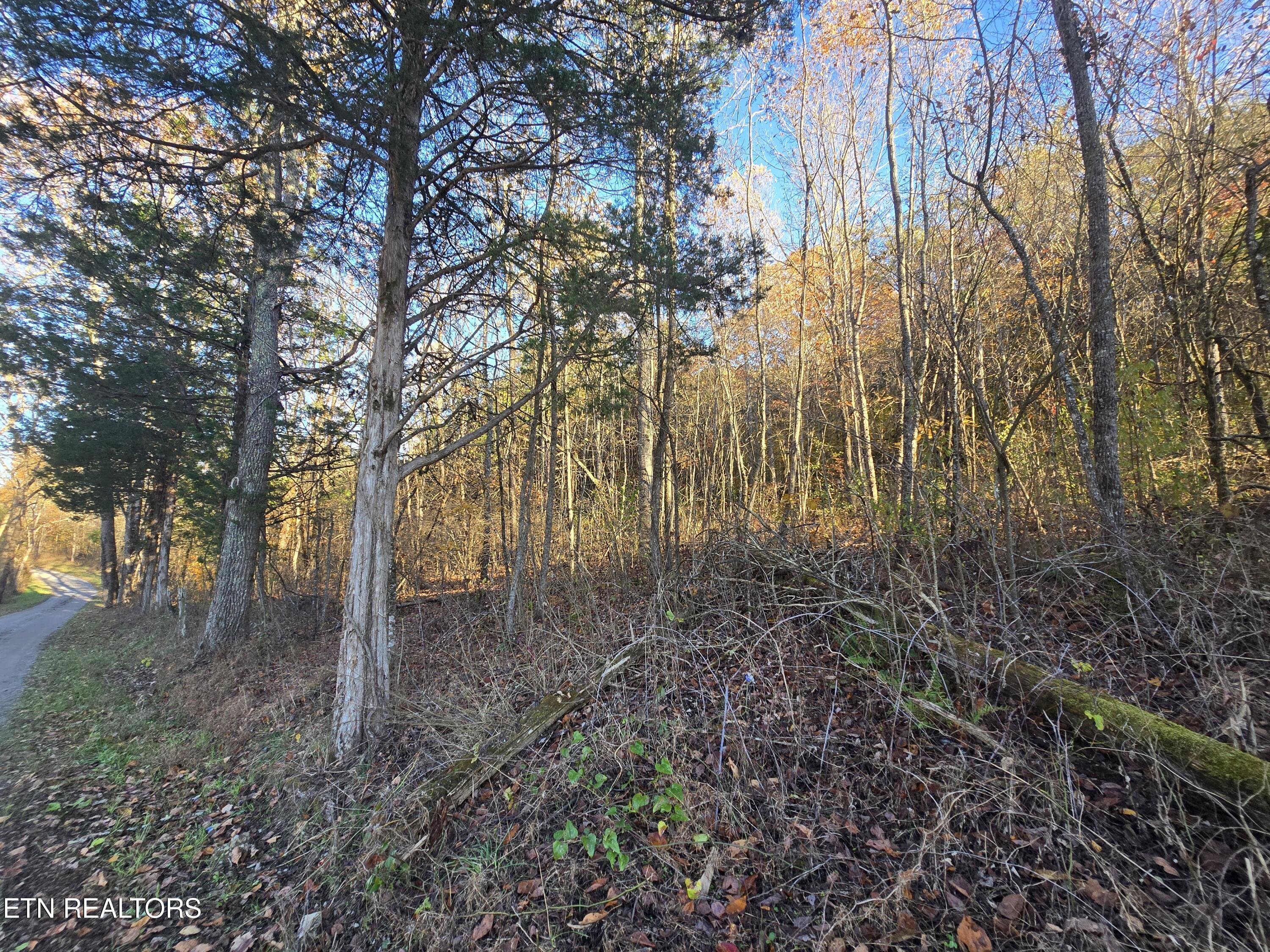 Haley Road Rose Hill, VA 24281 - Photo 14 of 26 20251103_161807