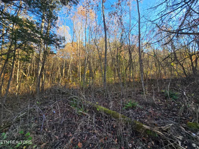 $220,000 | Haley Road, Rose Hill, VA 24281