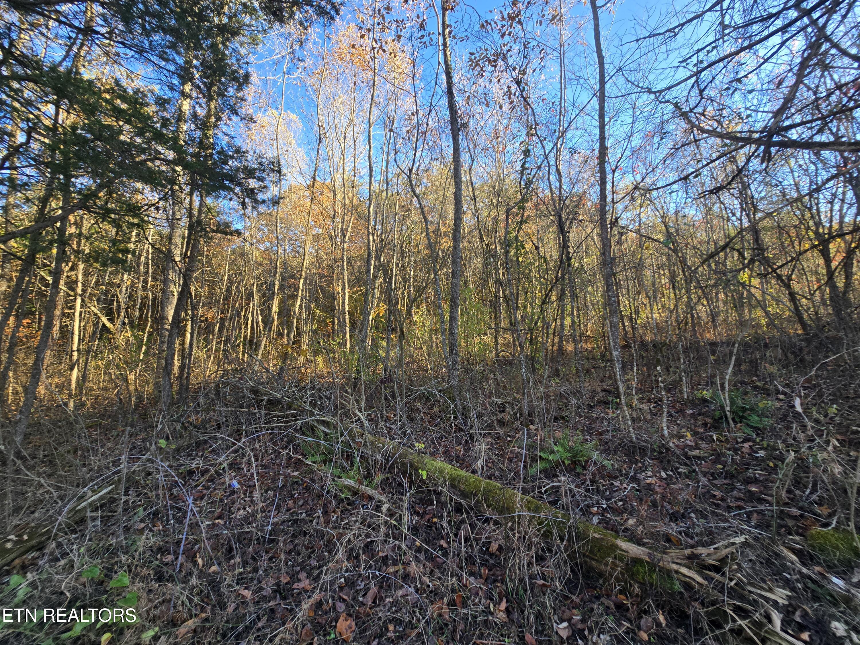 Haley Road Rose Hill, VA 24281 - Photo 15 of 26 20251103_161802