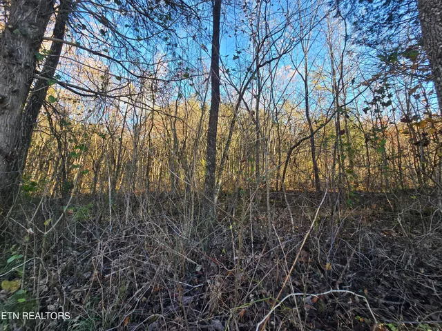 $220,000 | Haley Road, Rose Hill, VA 24281