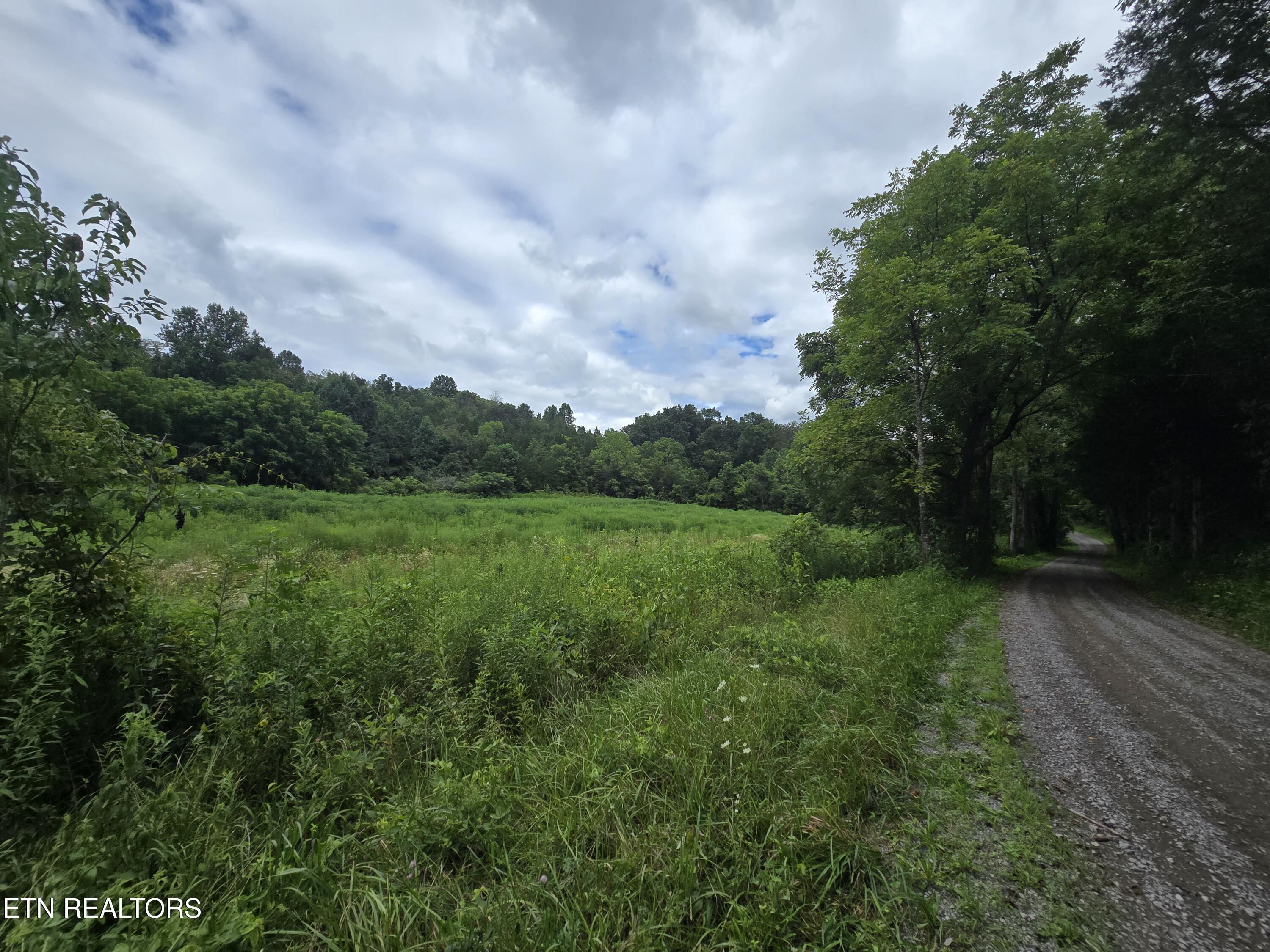 Haley Road Rose Hill, VA 24281 - Photo 17 of 26 20250805_142401
