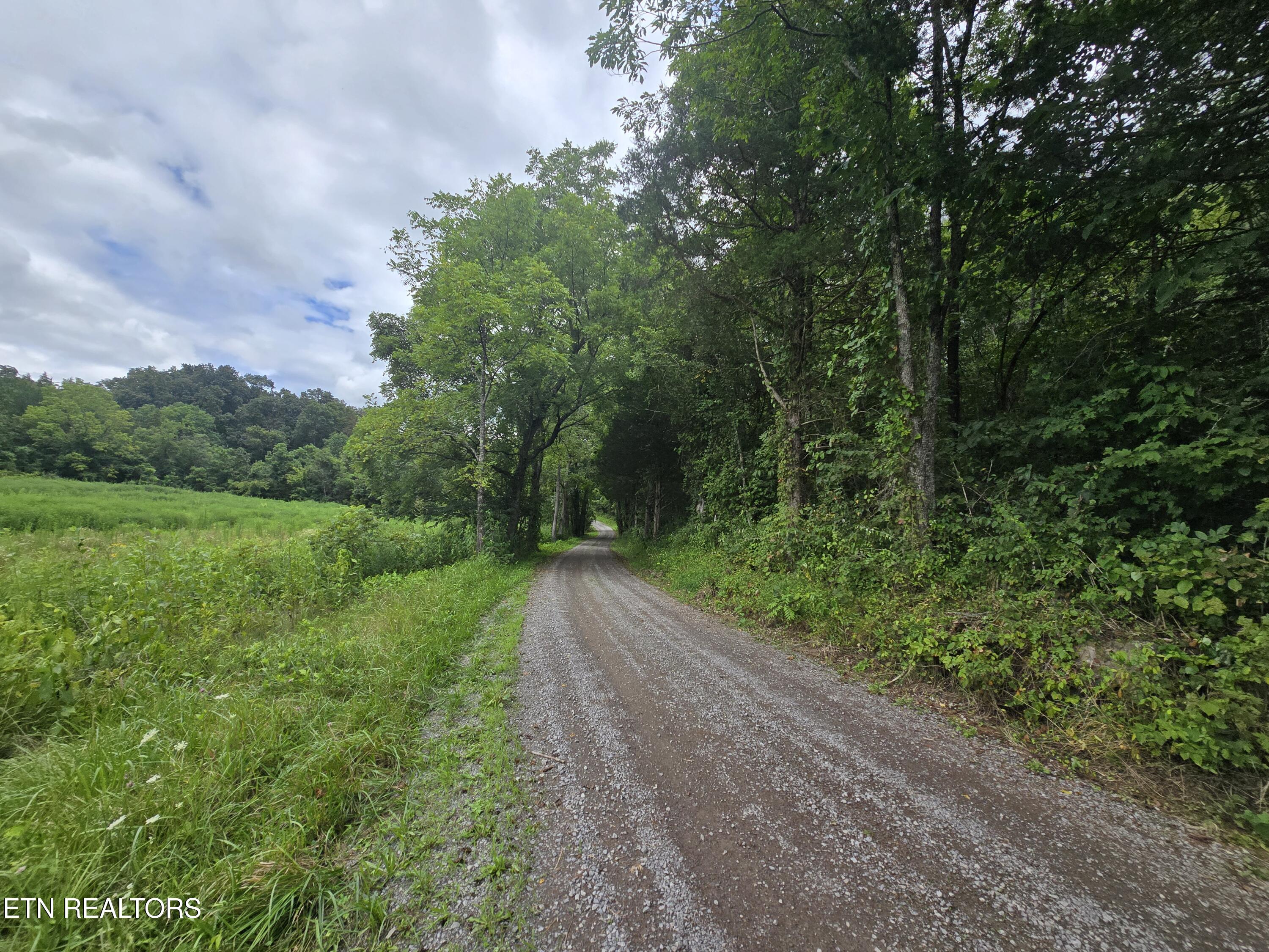 Haley Road Rose Hill, VA 24281 - Photo 18 of 26 20250805_142405