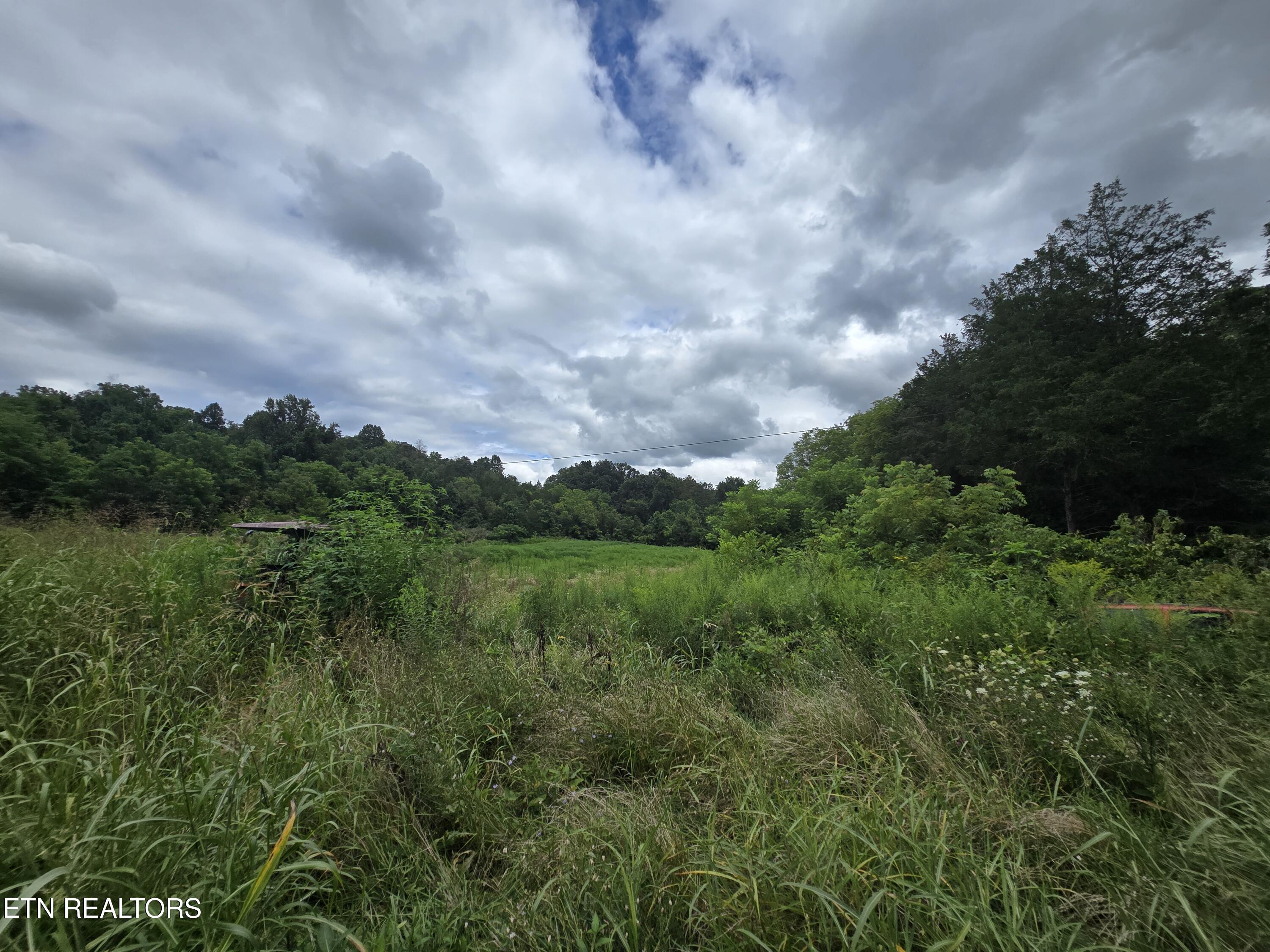Haley Road Rose Hill, VA 24281 - Photo 19 of 26 20250805_142817