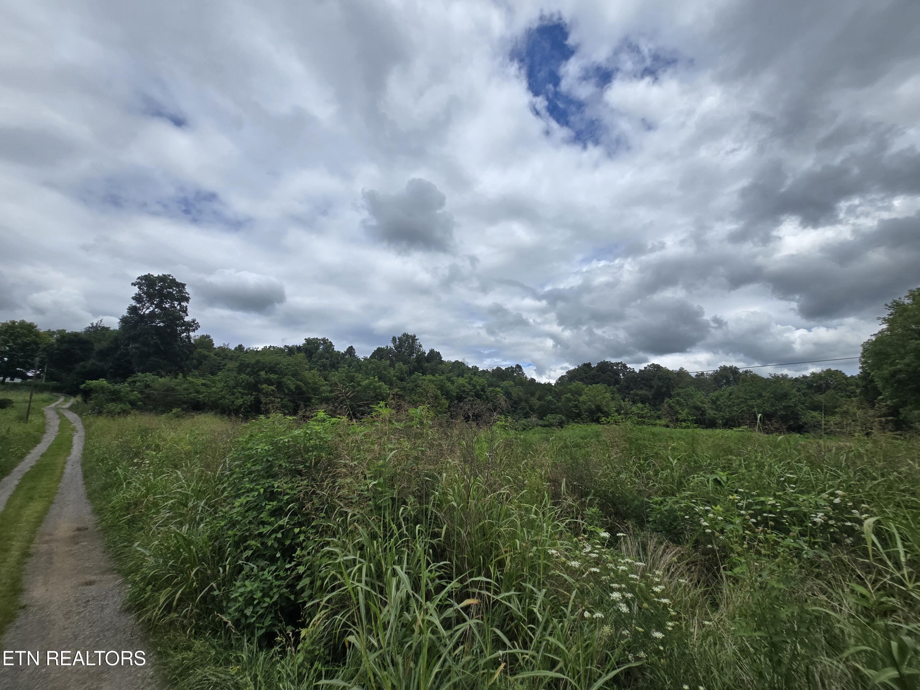 Haley Road Rose Hill, VA 24281 - Photo 20 of 26 20250805_142835