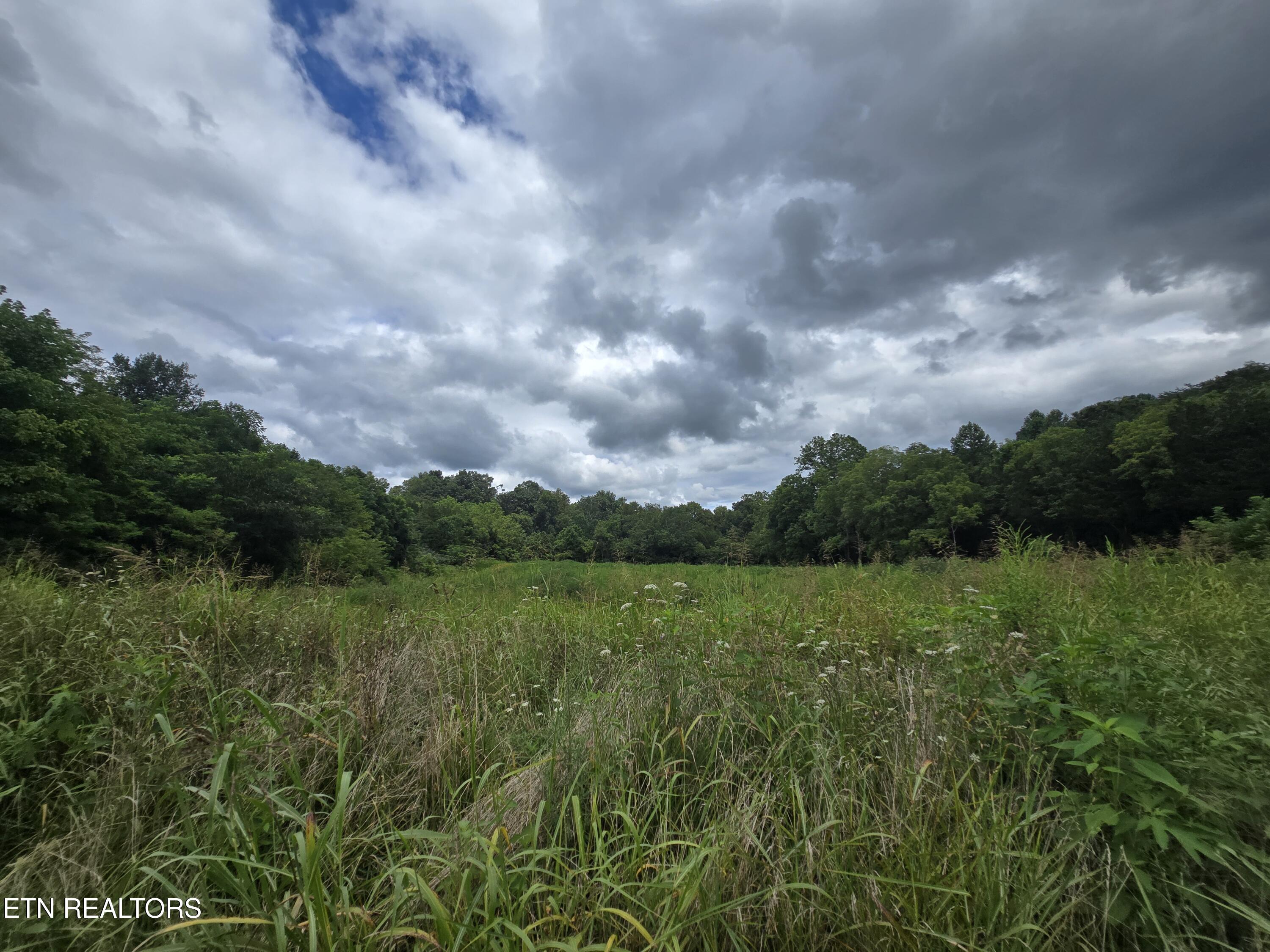 Haley Road Rose Hill, VA 24281 - Photo 21 of 26 20250805_142916