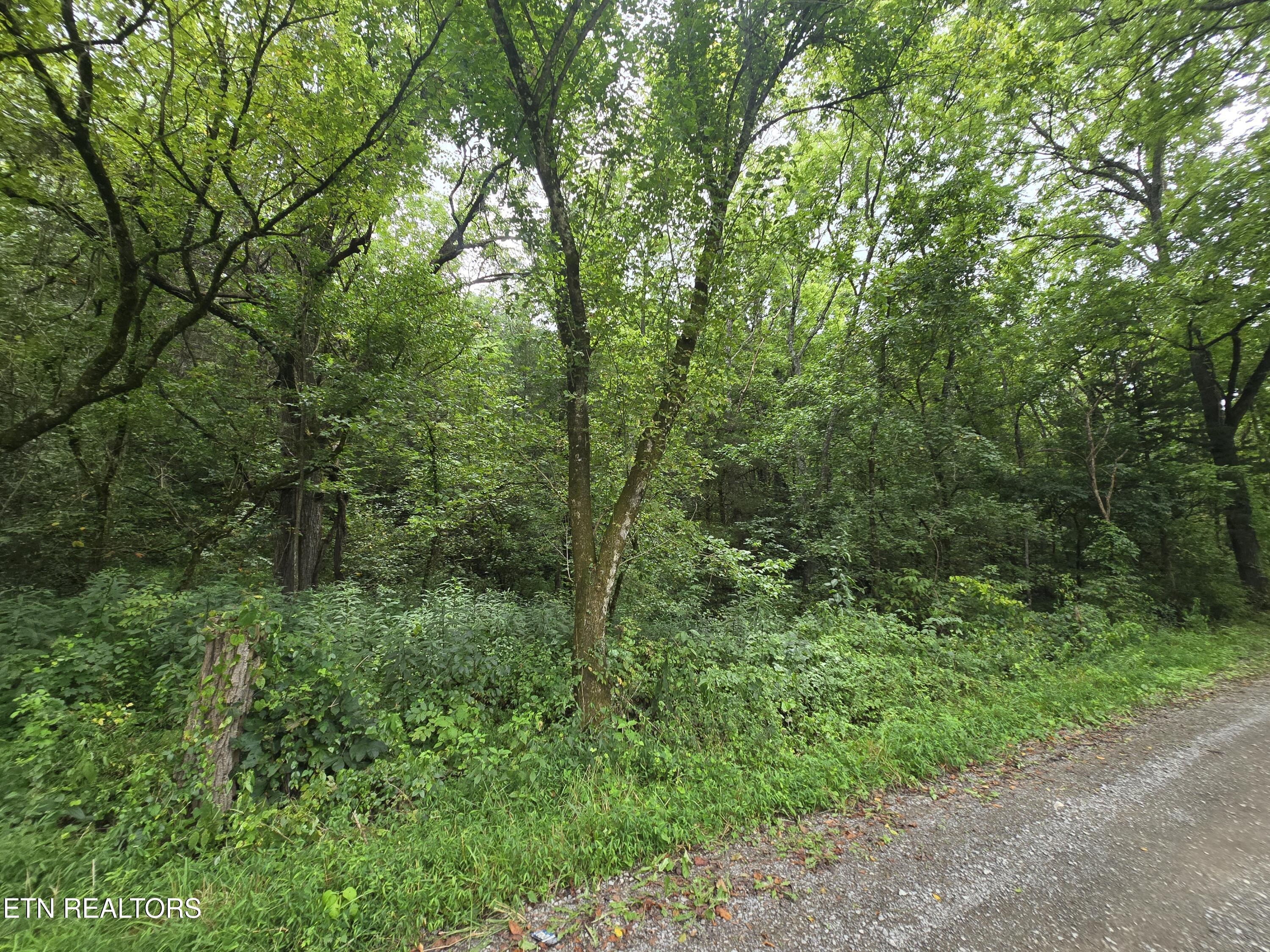 Haley Road Rose Hill, VA 24281 - Photo 24 of 26 20250805_143127