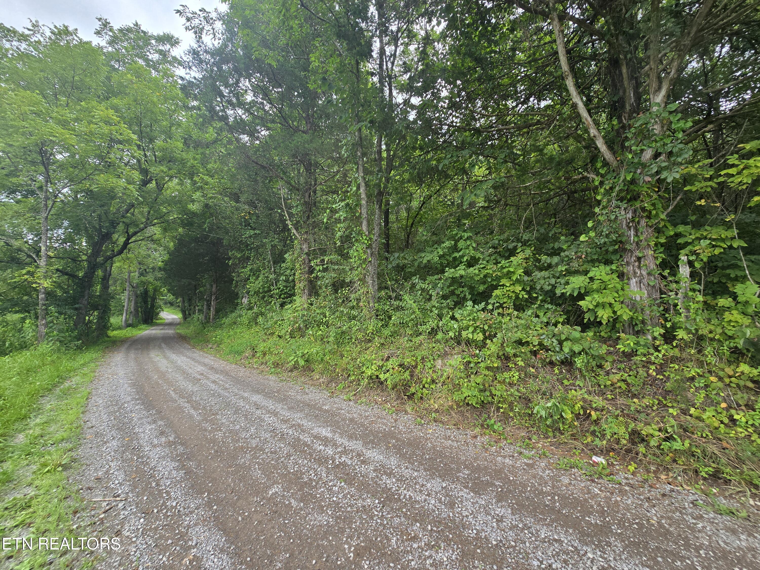 Haley Road Rose Hill, VA 24281 - Photo 26 of 26 20250805_142404