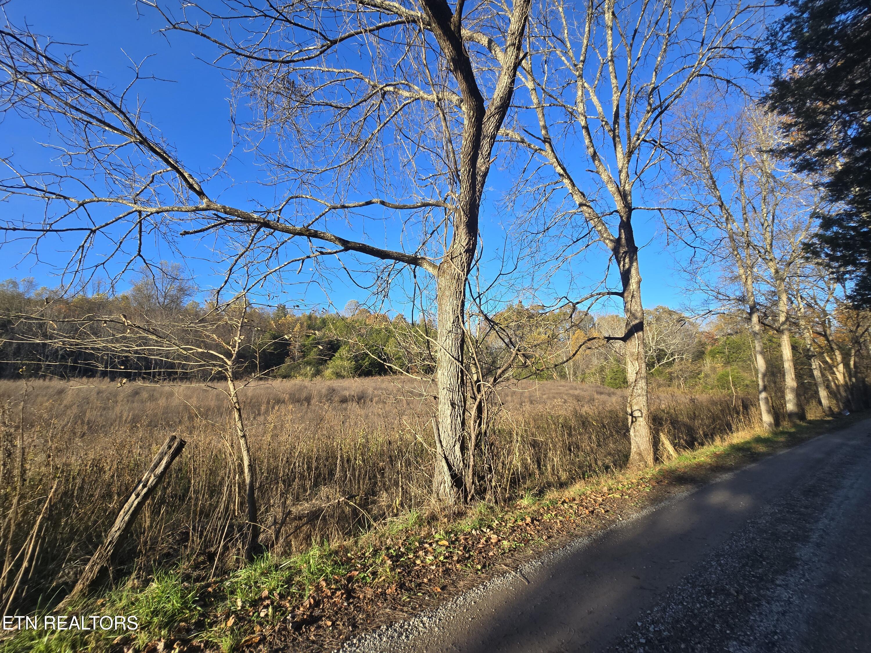 Haley Road Rose Hill, VA 24281 - Photo 3 of 26 20251103_161824