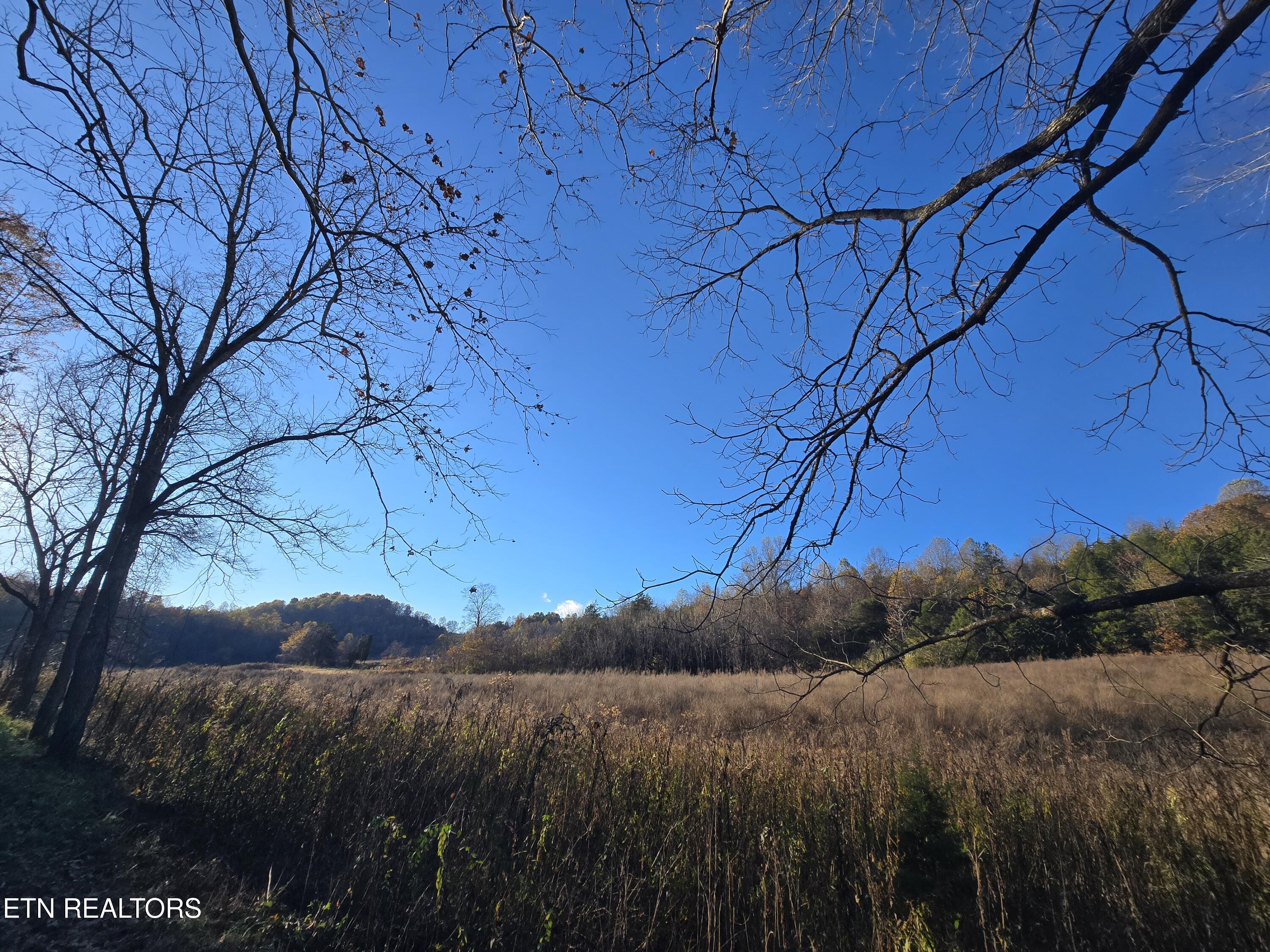 Haley Road Rose Hill, VA 24281 - Photo 5 of 26 20251103_161552