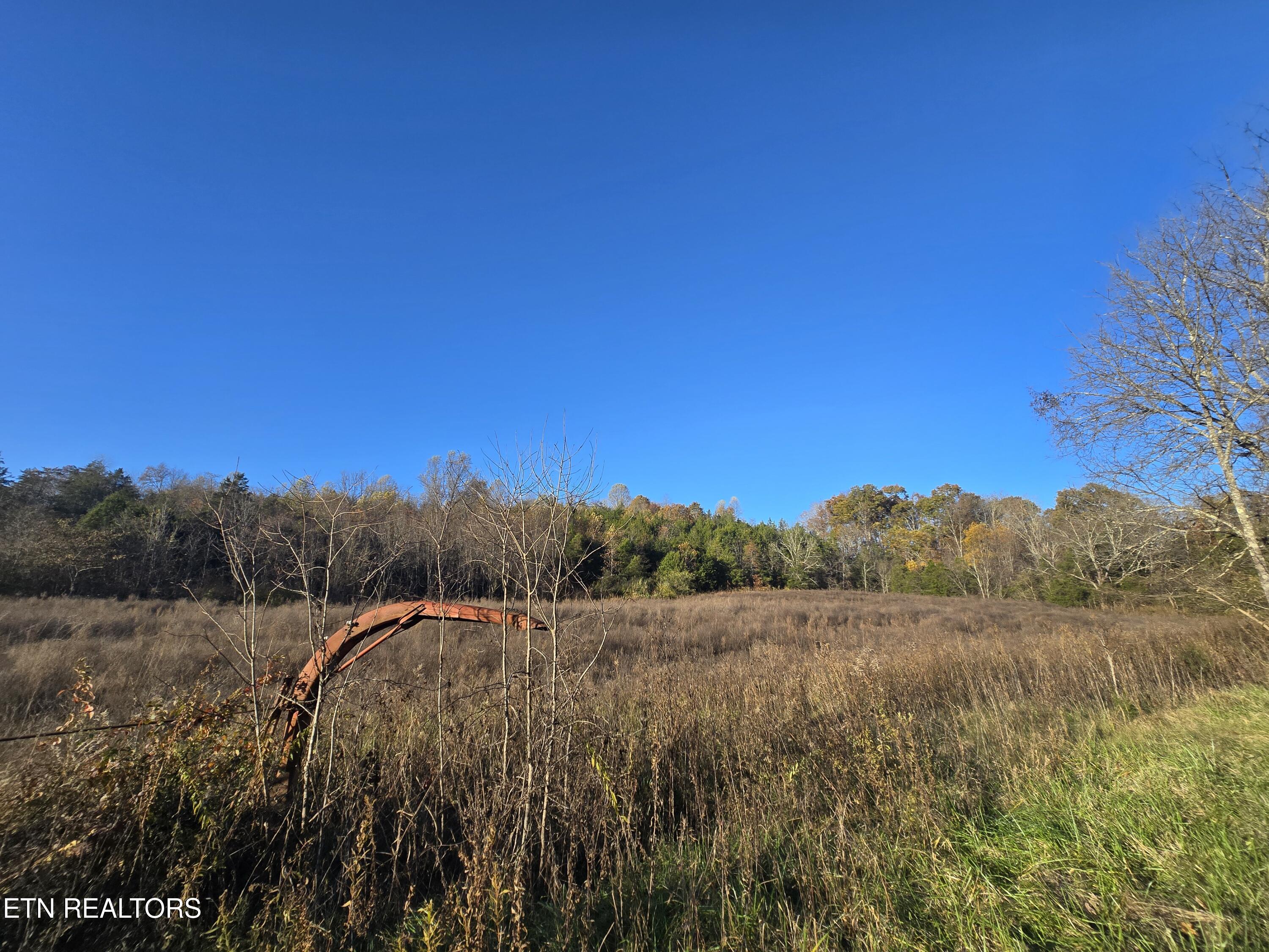 Haley Road Rose Hill, VA 24281 - Photo 7 of 26 20251103_161709